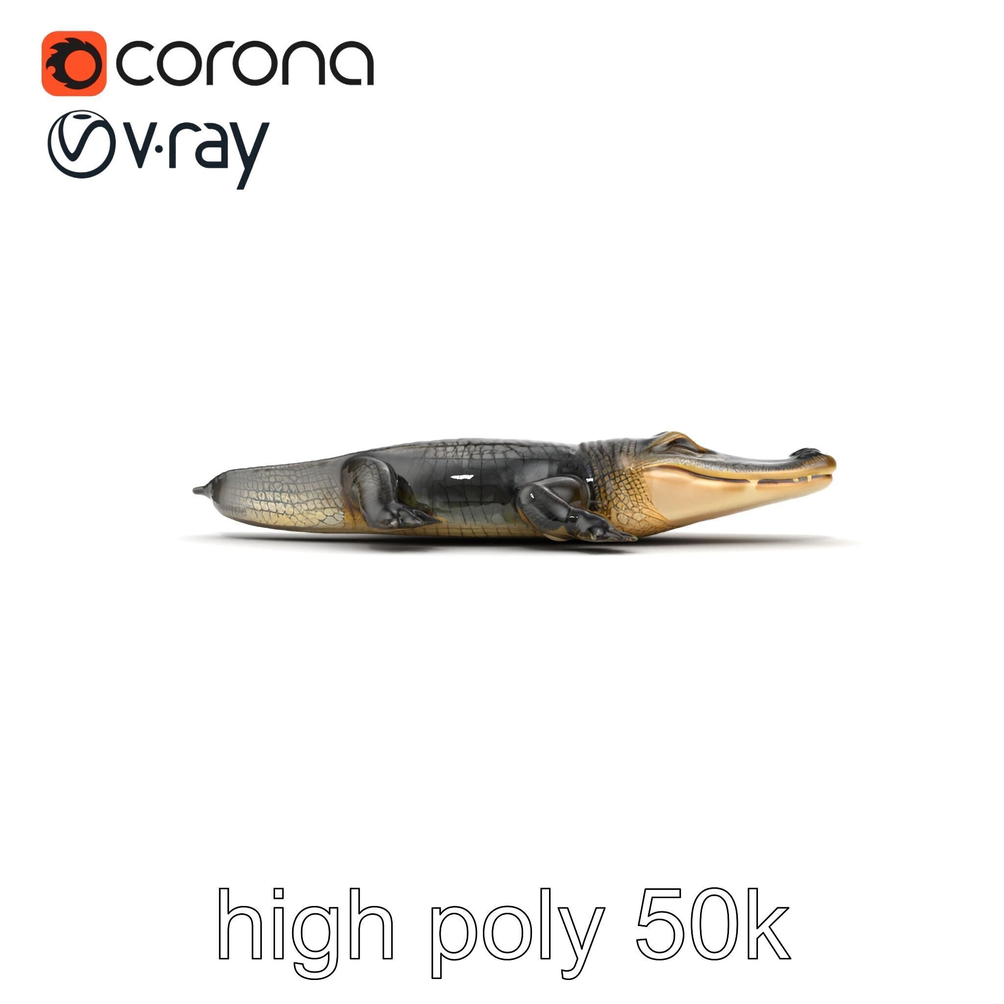 Chinese Alligator Detailed Scale Texture model pack Low-poly 3D model_29