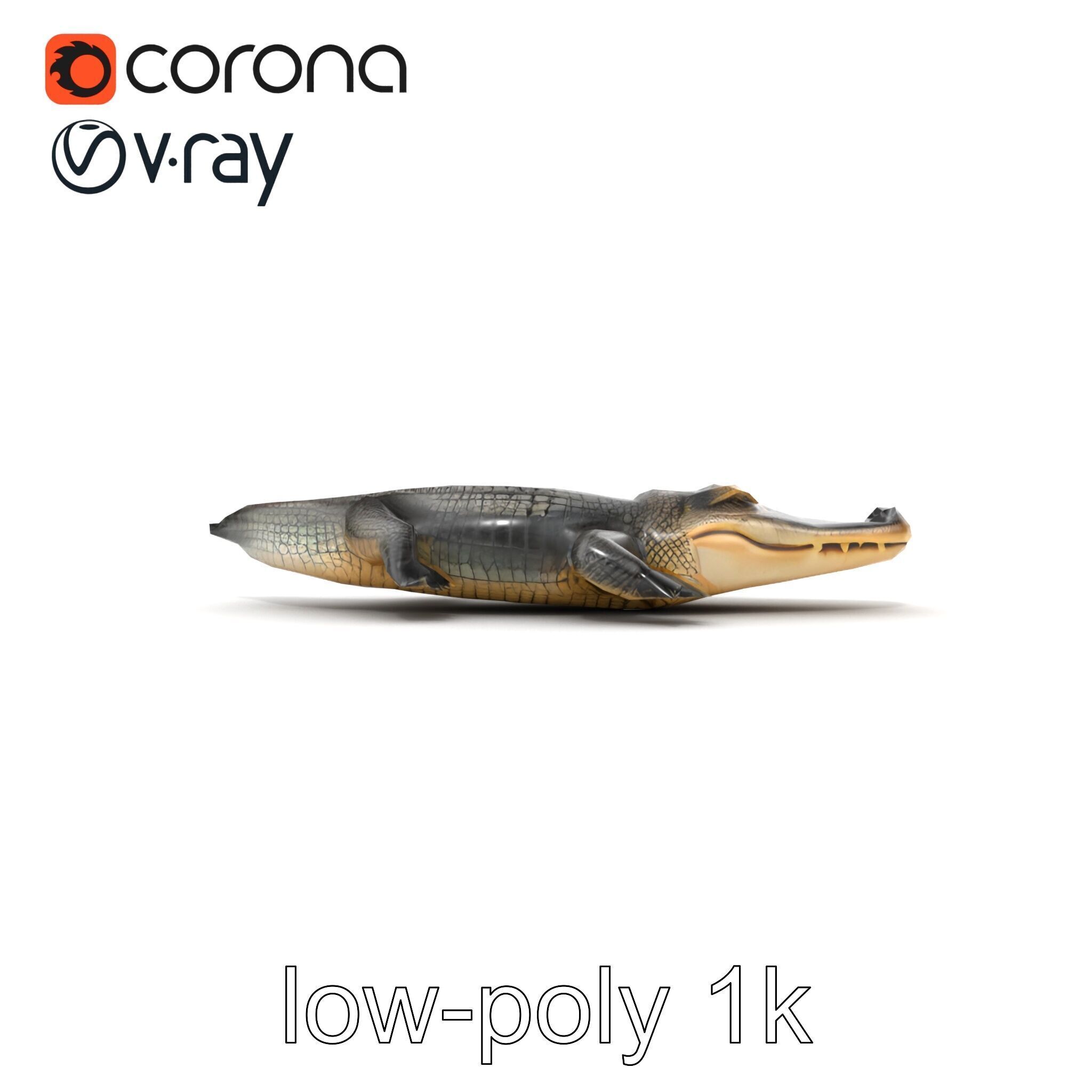 Chinese Alligator Detailed Scale Texture model pack Low-poly 3D model_18