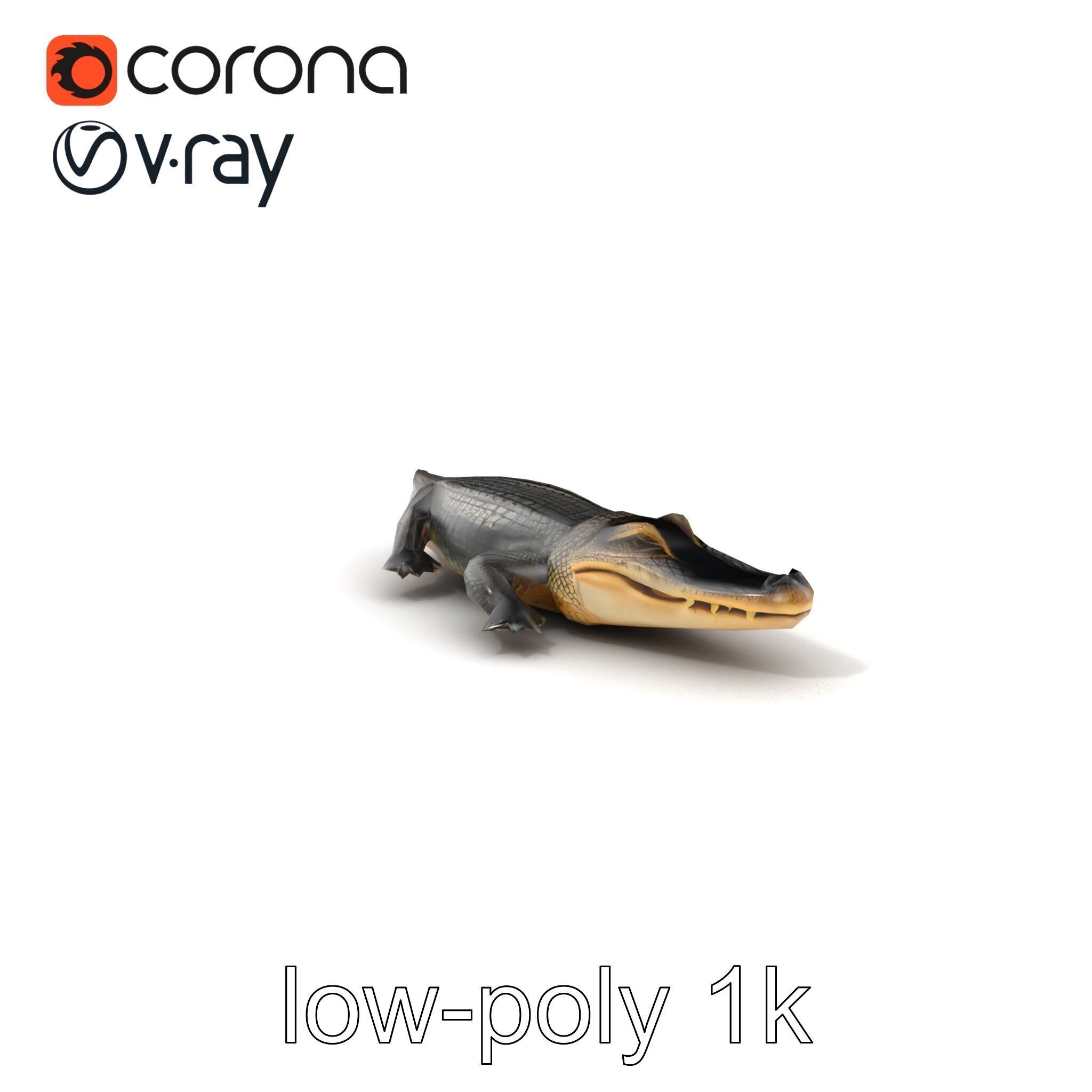 Chinese Alligator Detailed Scale Texture model pack Low-poly 3D model_5