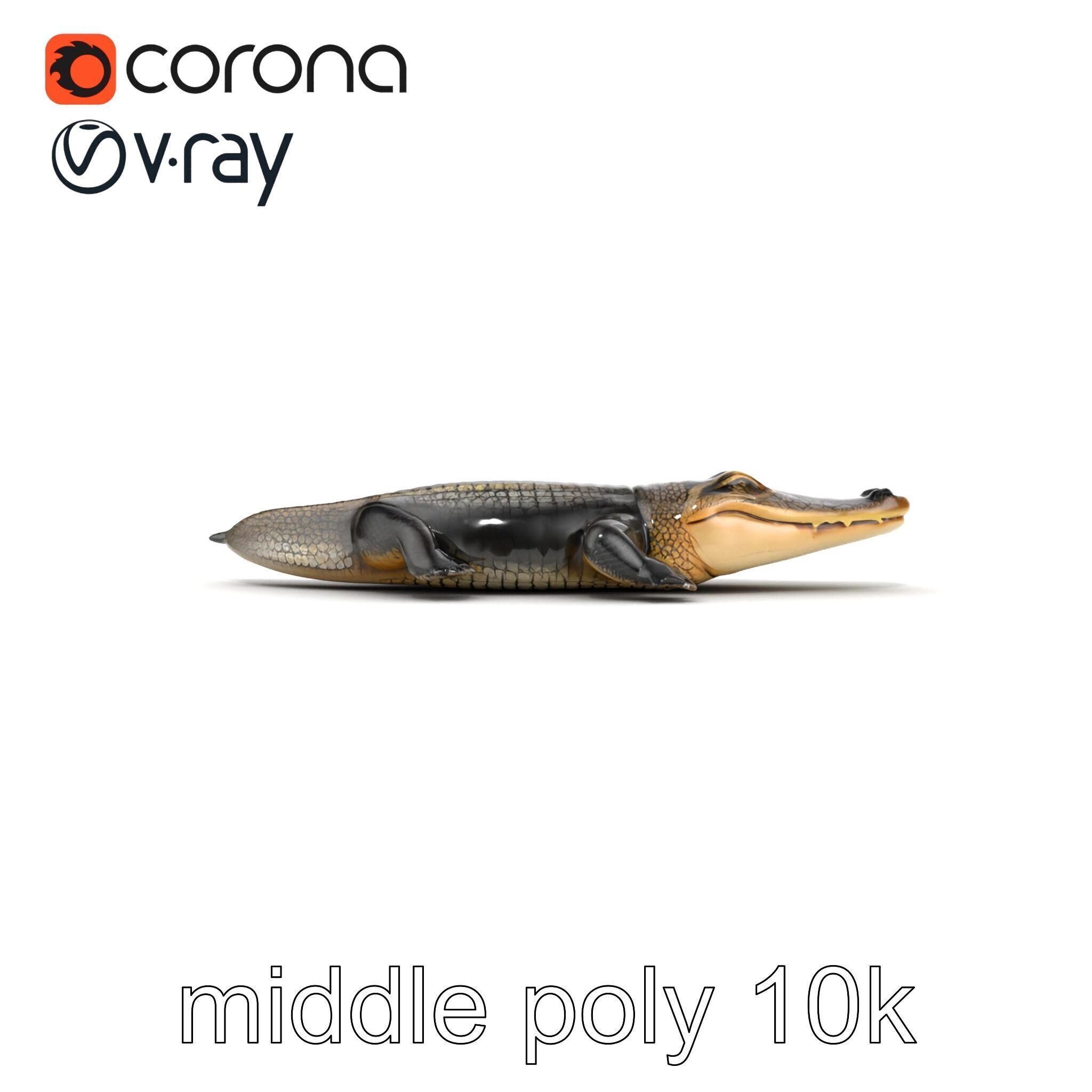 Chinese Alligator Detailed Scale Texture model pack Low-poly 3D model_17