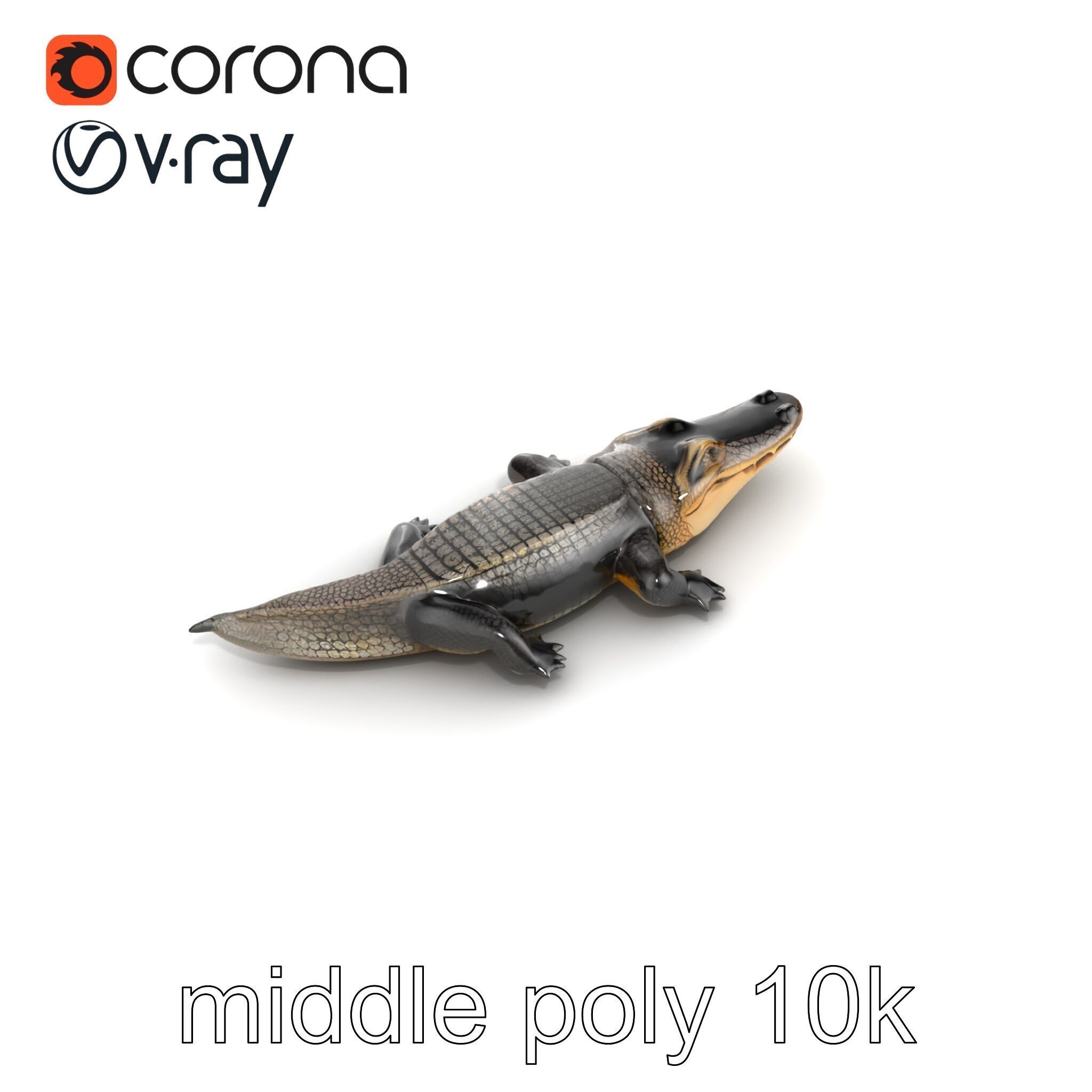 Chinese Alligator Detailed Scale Texture model pack Low-poly 3D model_28