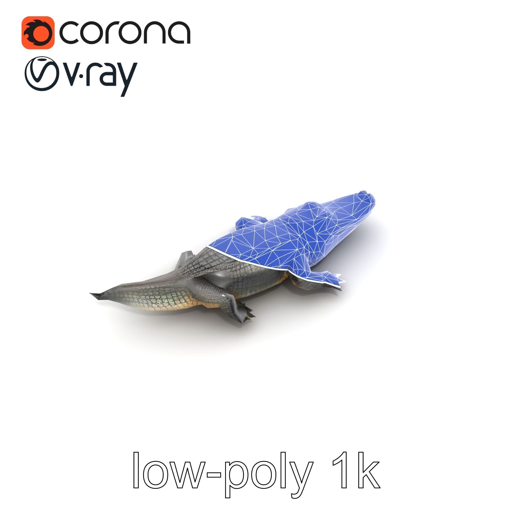 Chinese Alligator Detailed Scale Texture model pack Low-poly 3D model_32