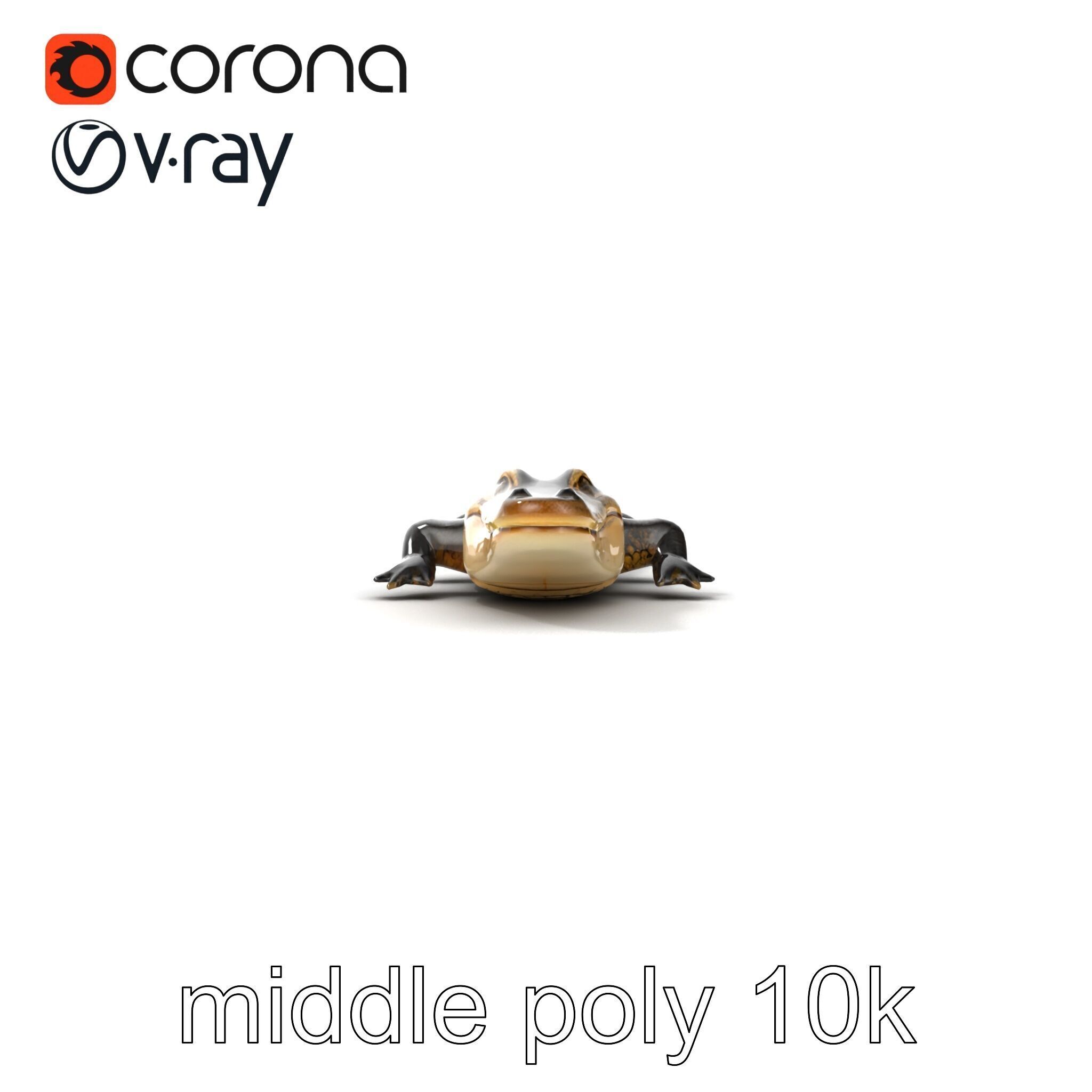 Chinese Alligator Detailed Scale Texture model pack Low-poly 3D model_14