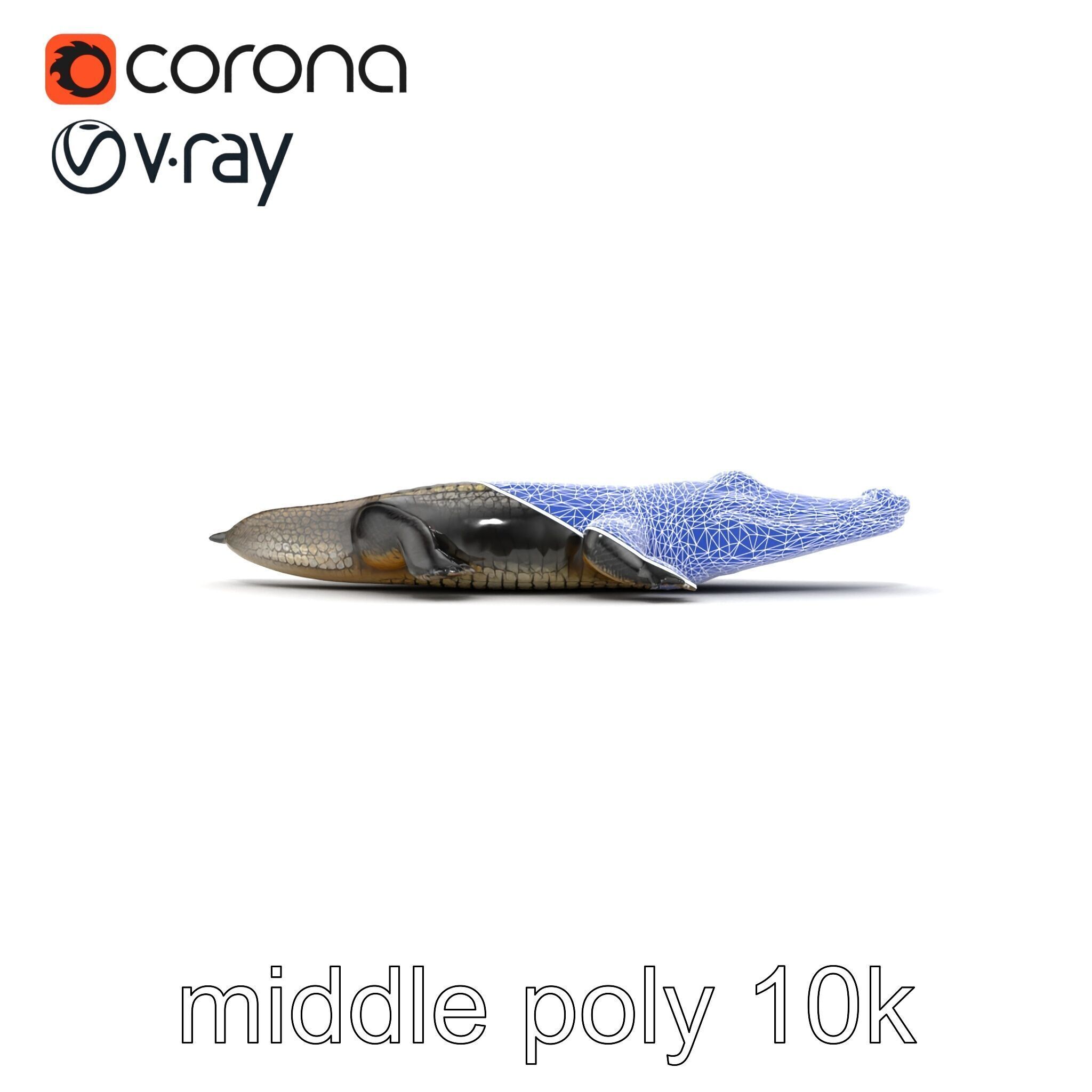 Chinese Alligator Detailed Scale Texture model pack Low-poly 3D model_21