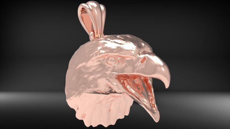 Eagle Head pendant jewelry gold necklace medallion 3D print model_28