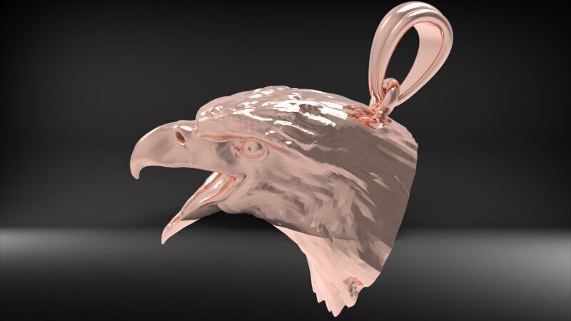 Eagle Head pendant jewelry gold necklace medallion 3D print model_39