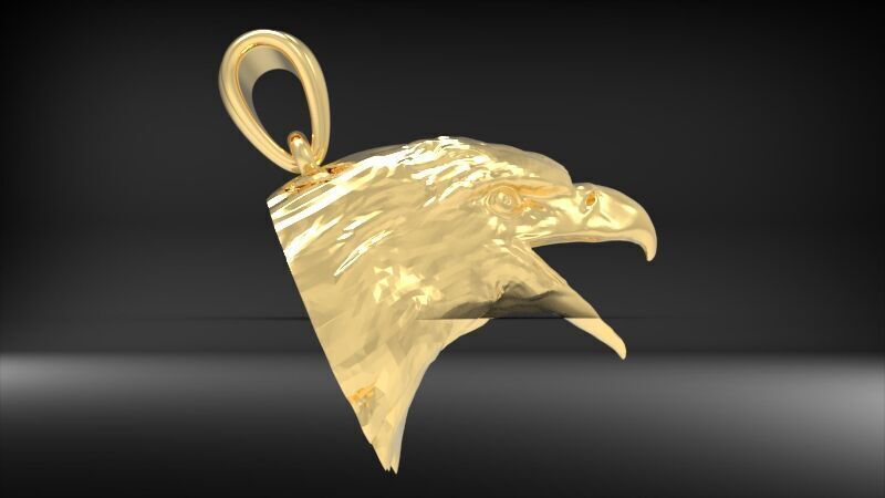 Eagle Head pendant jewelry gold necklace medallion 3D print model_18