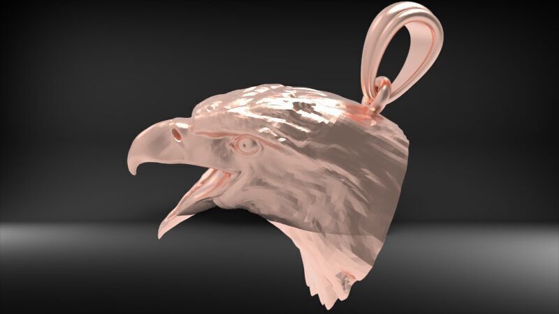 Eagle Head pendant jewelry gold necklace medallion 3D print model_38