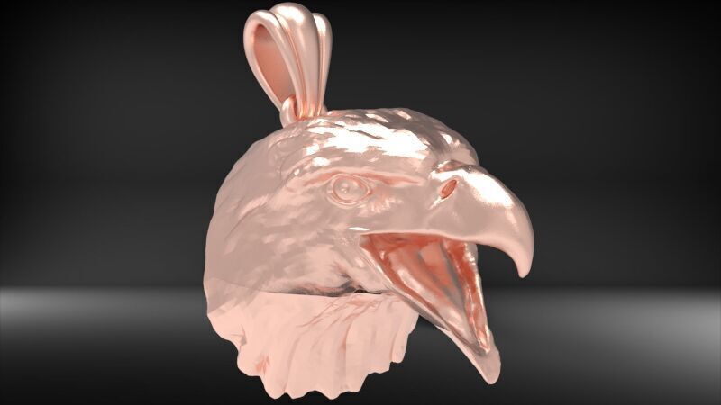 Eagle Head pendant jewelry gold necklace medallion 3D print model_29