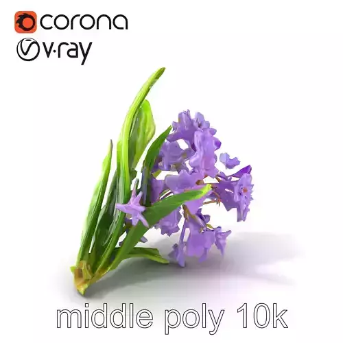 Water Hyacinth with Violet Blooms model pack Low-poly 3D model