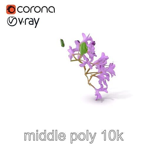 Vibrant Water Hyacinth Plant D model pack Low-poly 3D model