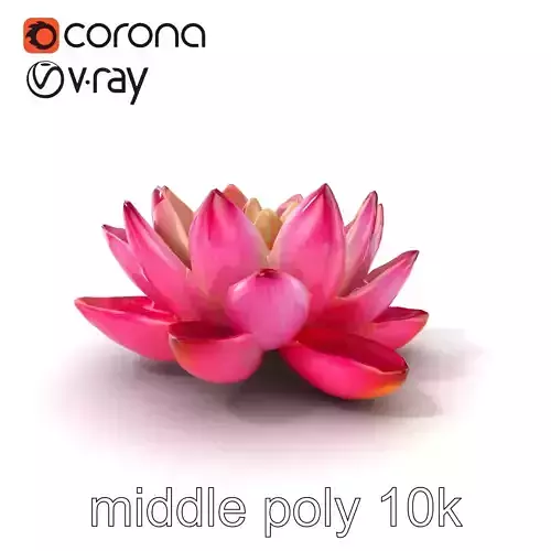 Water Lily Flower D Model Pack
