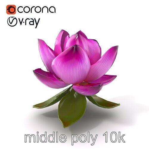Water Lily Intricate Petal Design model pack Low-poly 3D model