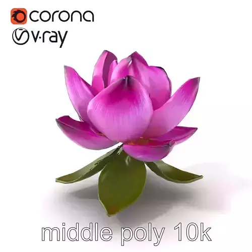Water Lily Intricate Petal Design model pack