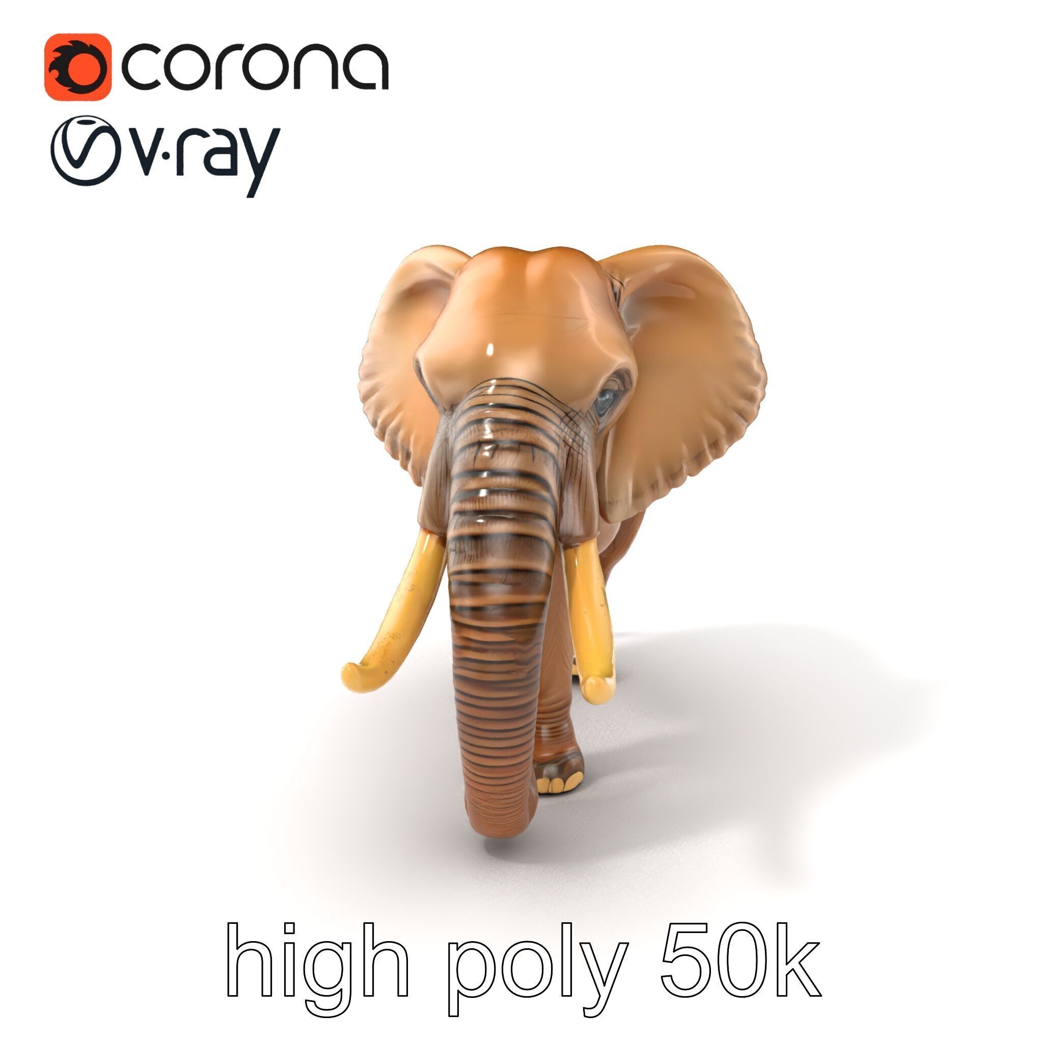Elephant with Detailed Wrinkled Skin and Tusks model pack Low-poly 3D model_2