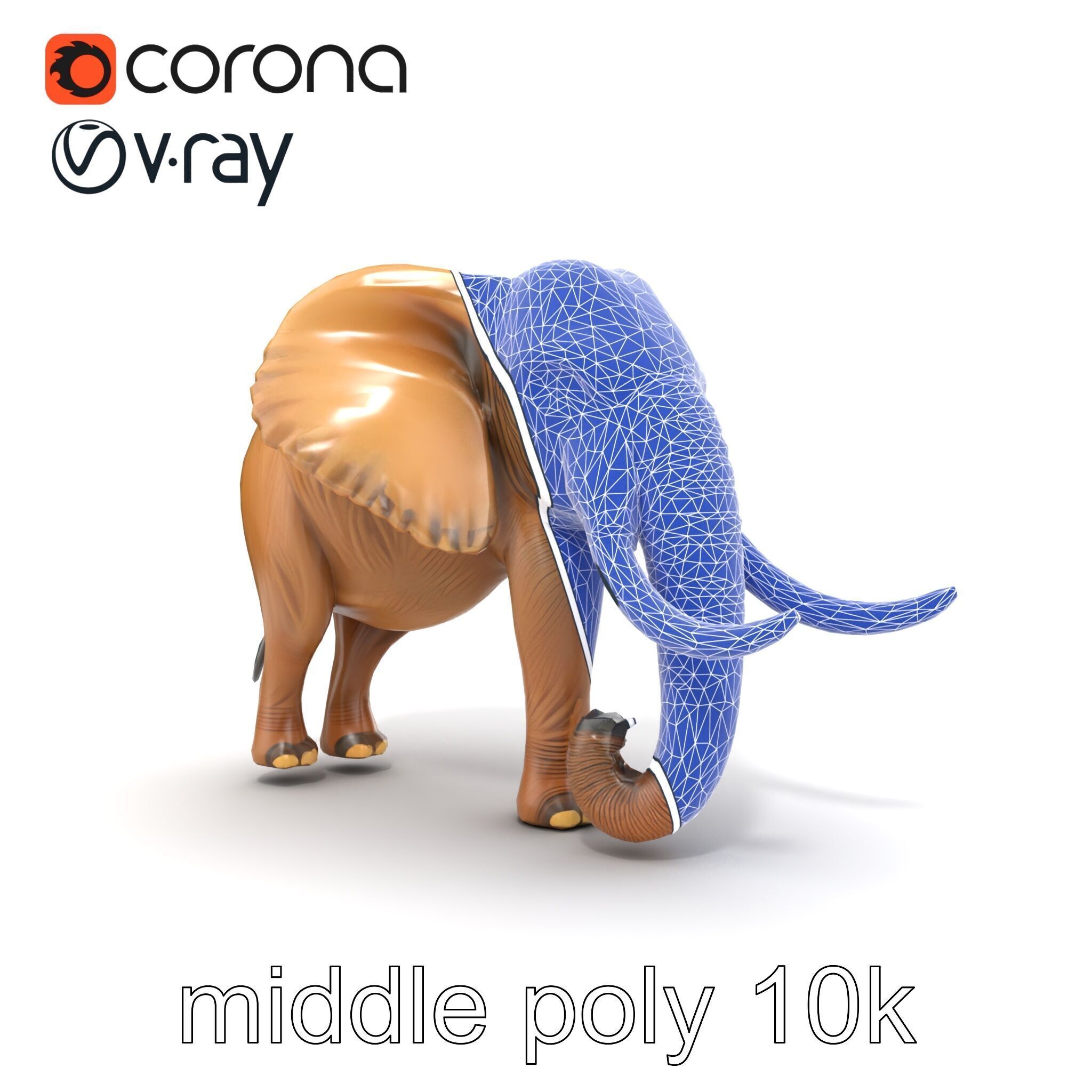 Elephant with Detailed Wrinkled Skin and Tusks model pack Low-poly 3D model_13
