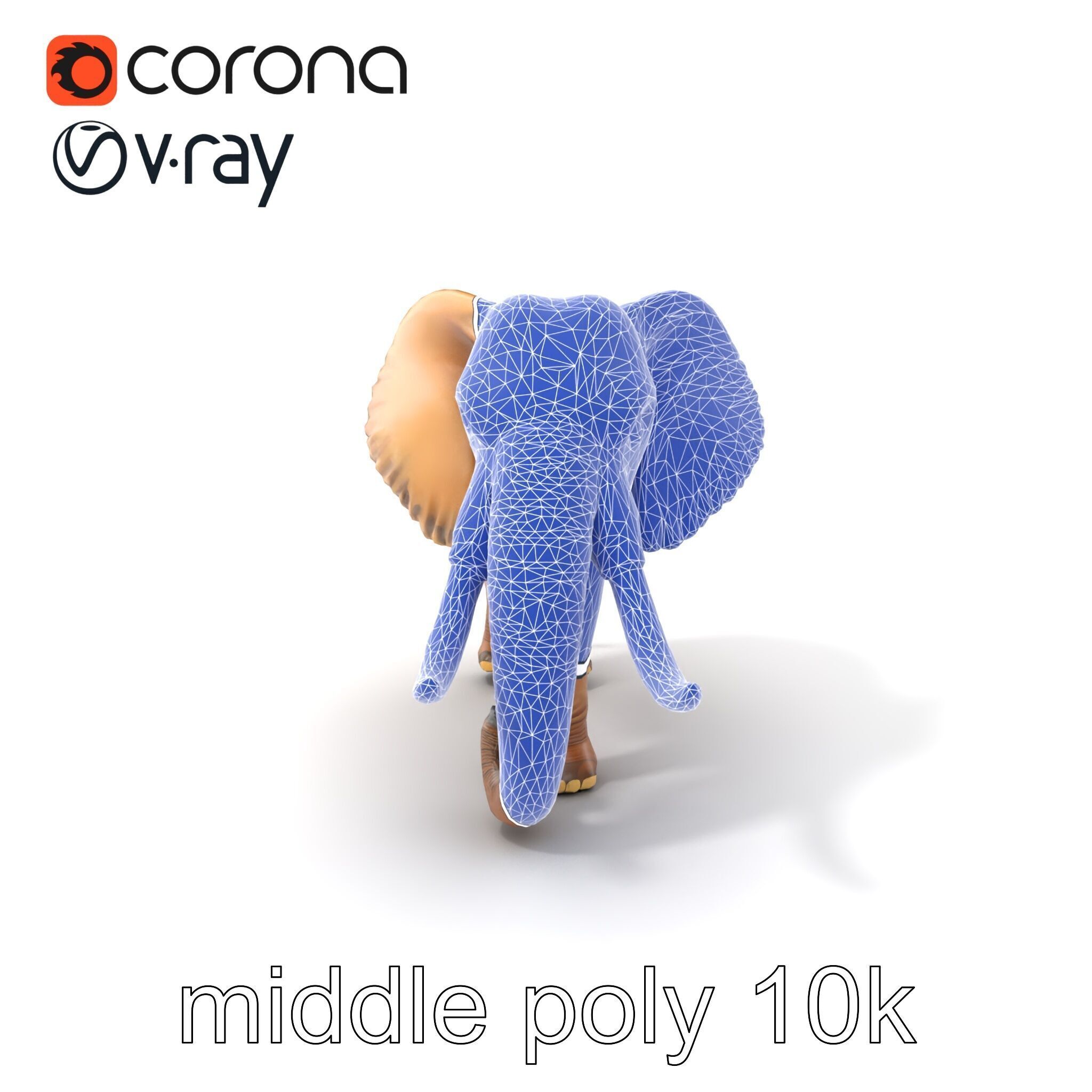 Elephant with Detailed Wrinkled Skin and Tusks model pack Low-poly 3D model_6
