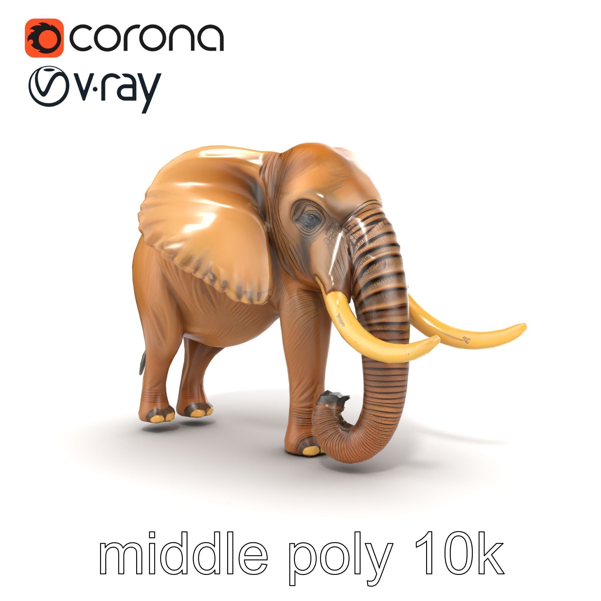 Elephant with Detailed Wrinkled Skin and Tusks model pack Low-poly 3D model_25