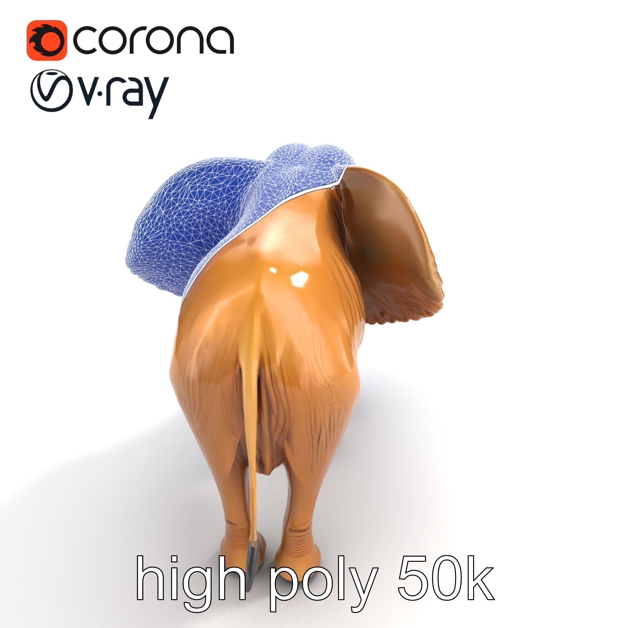 Elephant with Detailed Wrinkled Skin and Tusks model pack Low-poly 3D model_15