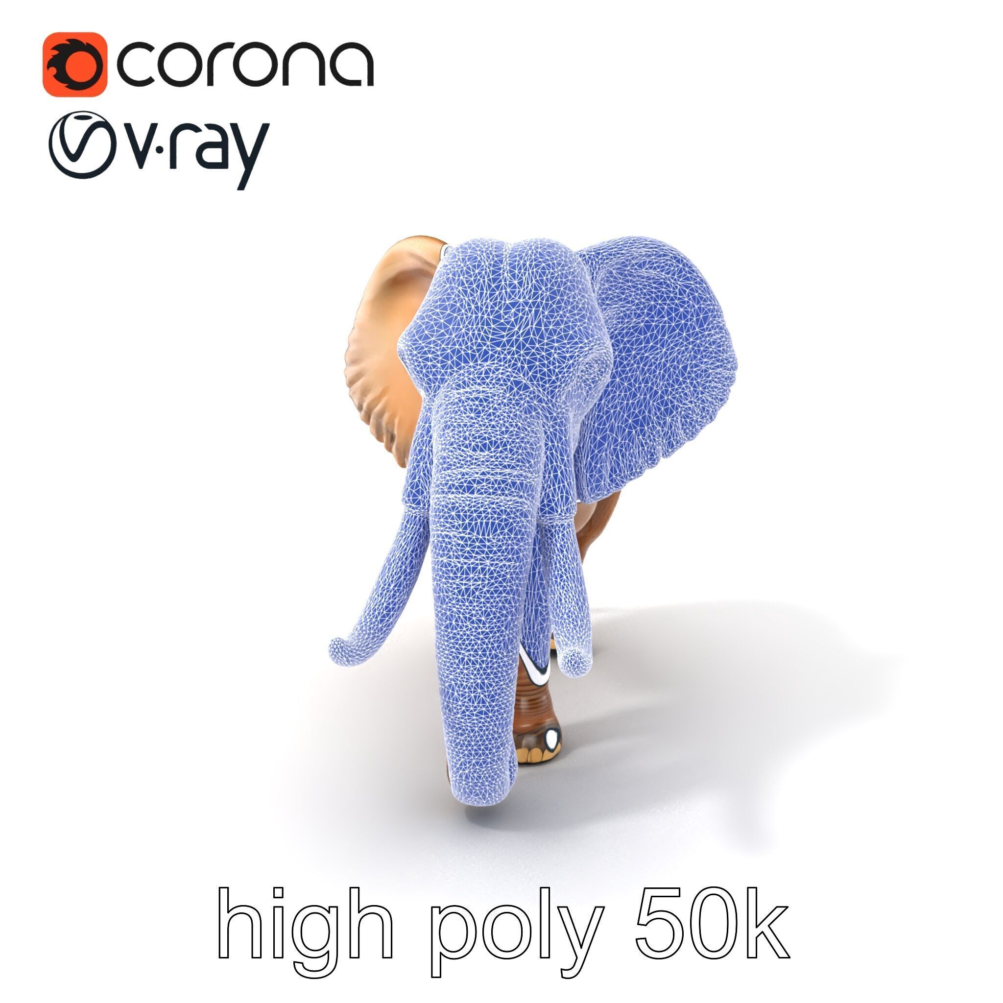 Elephant with Detailed Wrinkled Skin and Tusks model pack Low-poly 3D model_10