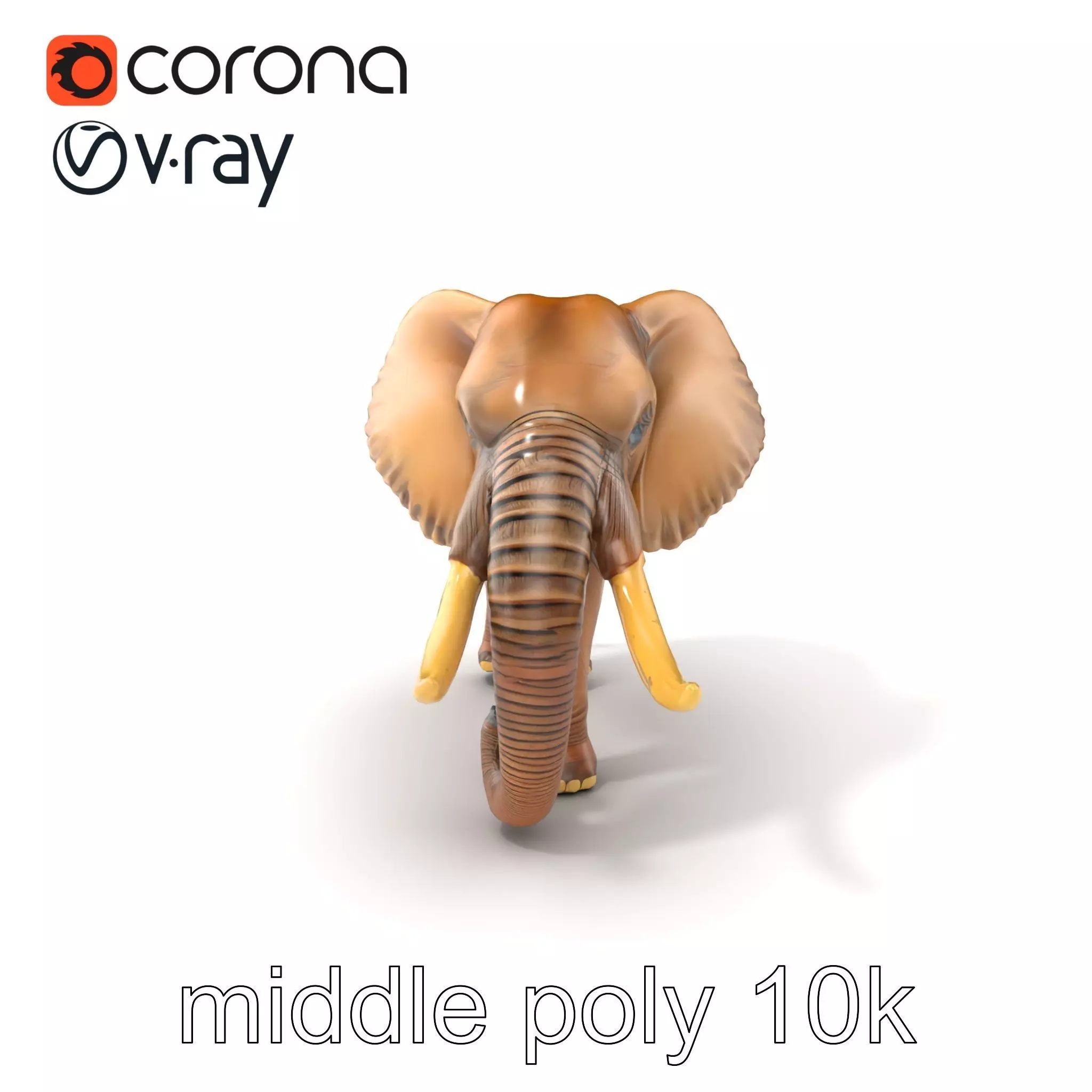 Elephant with Detailed Wrinkled Skin and Tusks model pack Low-poly 3D model_0