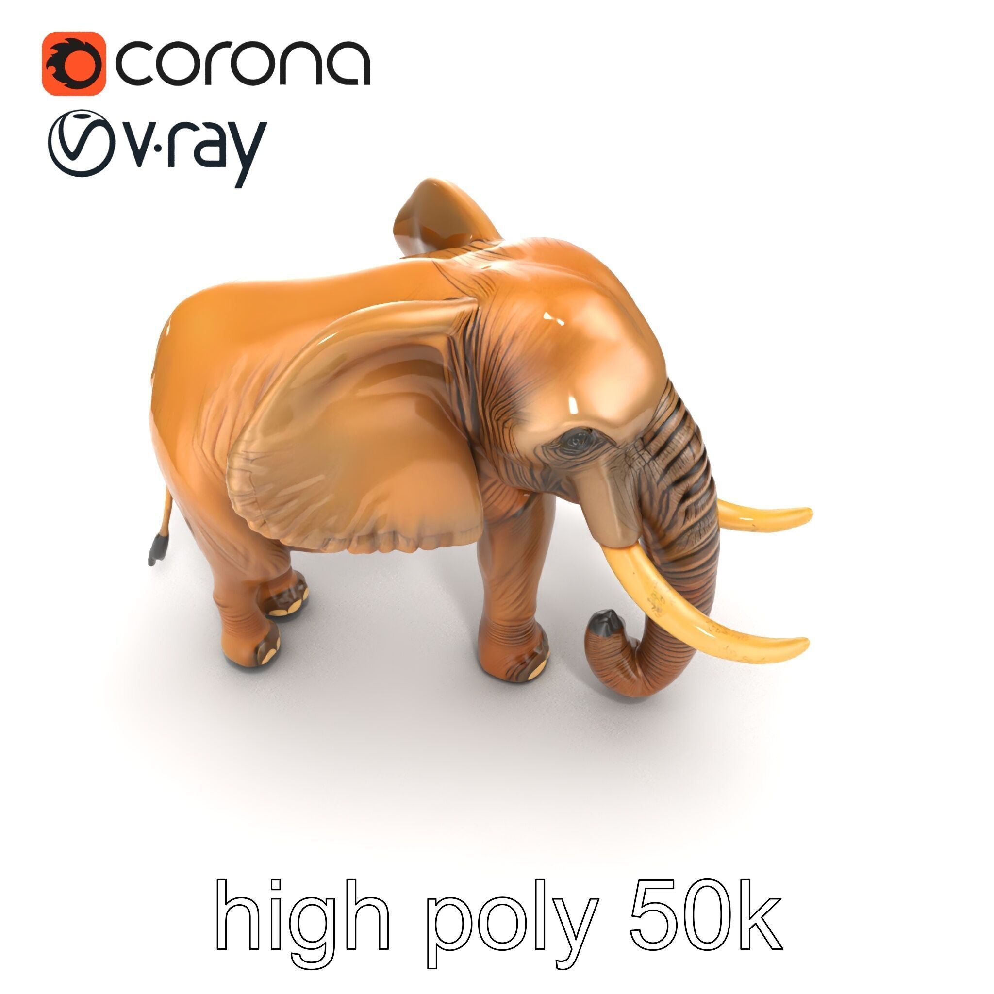 Elephant with Detailed Wrinkled Skin and Tusks model pack Low-poly 3D model_30