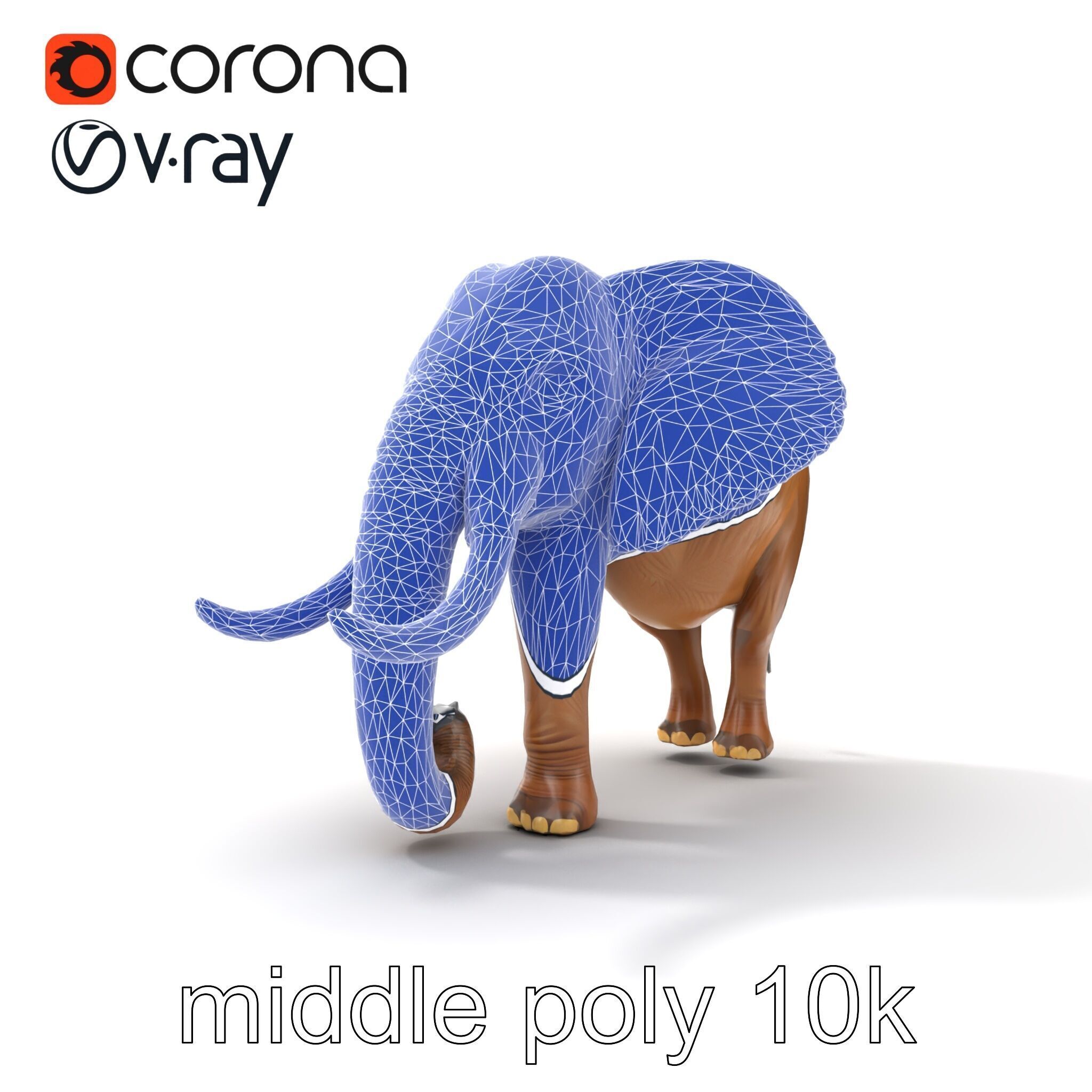 Elephant with Detailed Wrinkled Skin and Tusks model pack Low-poly 3D model_26