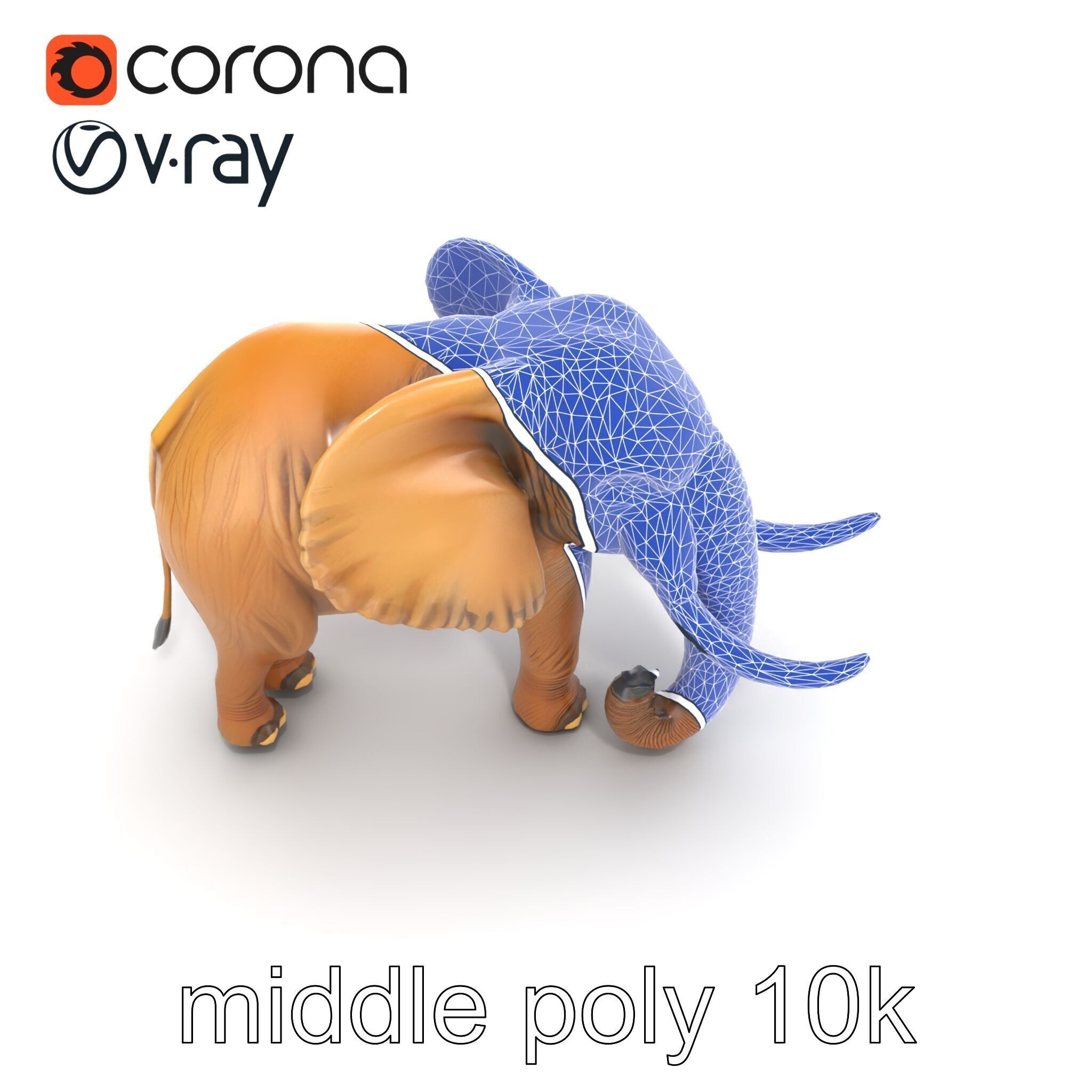 Elephant with Detailed Wrinkled Skin and Tusks model pack Low-poly 3D model_14