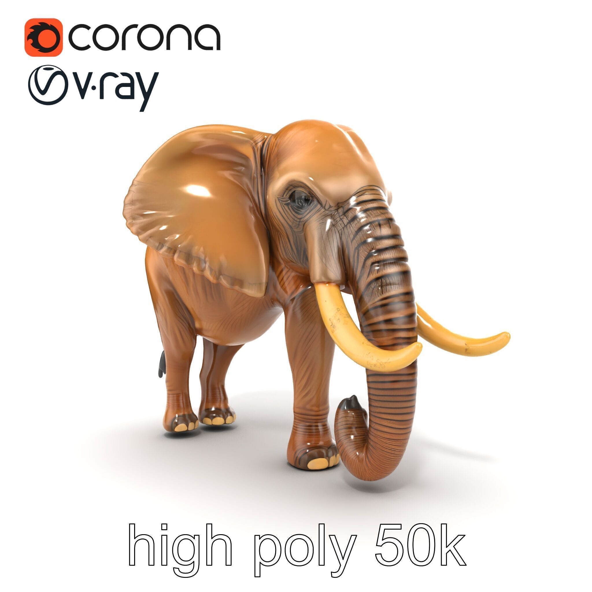 Elephant with Detailed Wrinkled Skin and Tusks model pack Low-poly 3D model_24