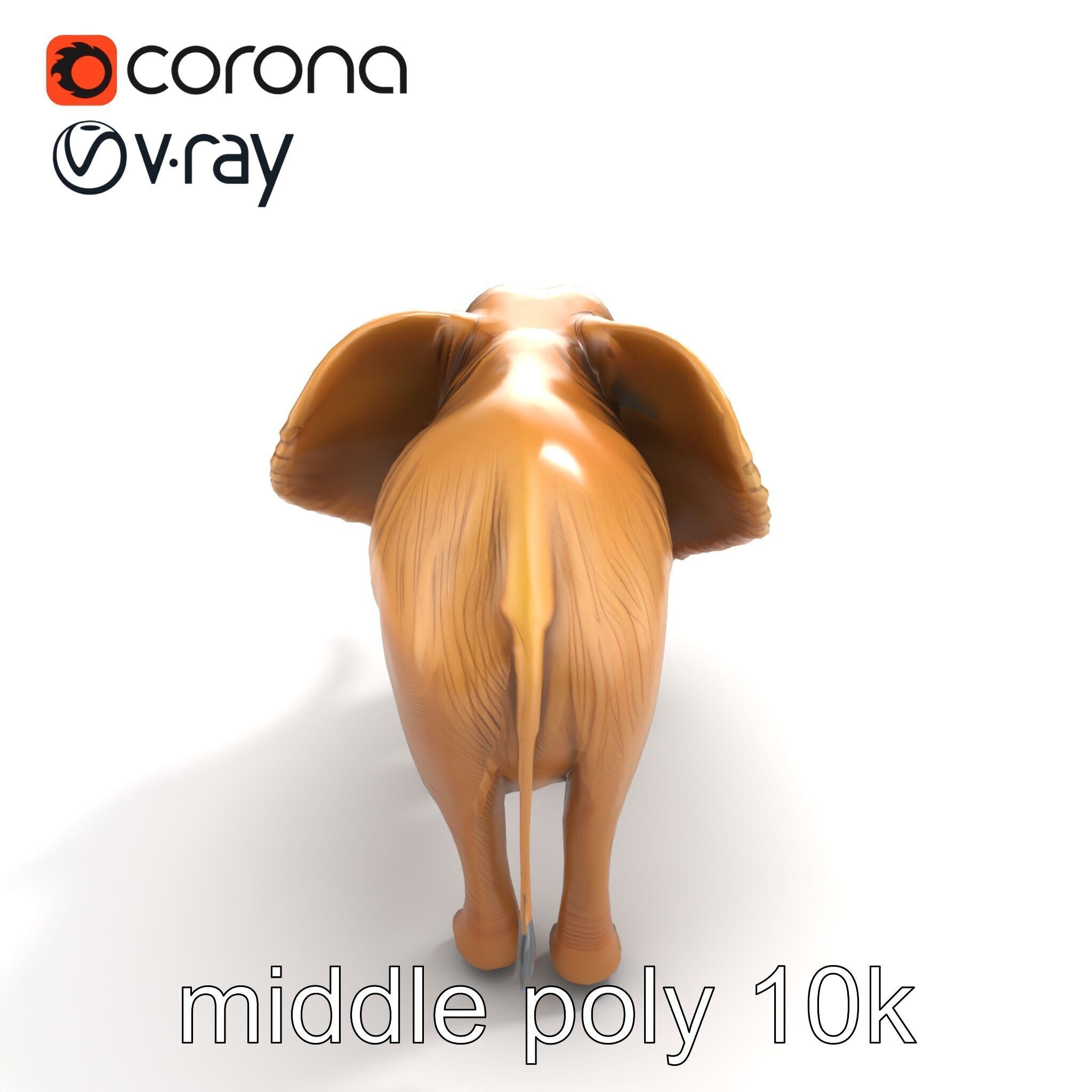 Elephant with Detailed Wrinkled Skin and Tusks model pack Low-poly 3D model_8