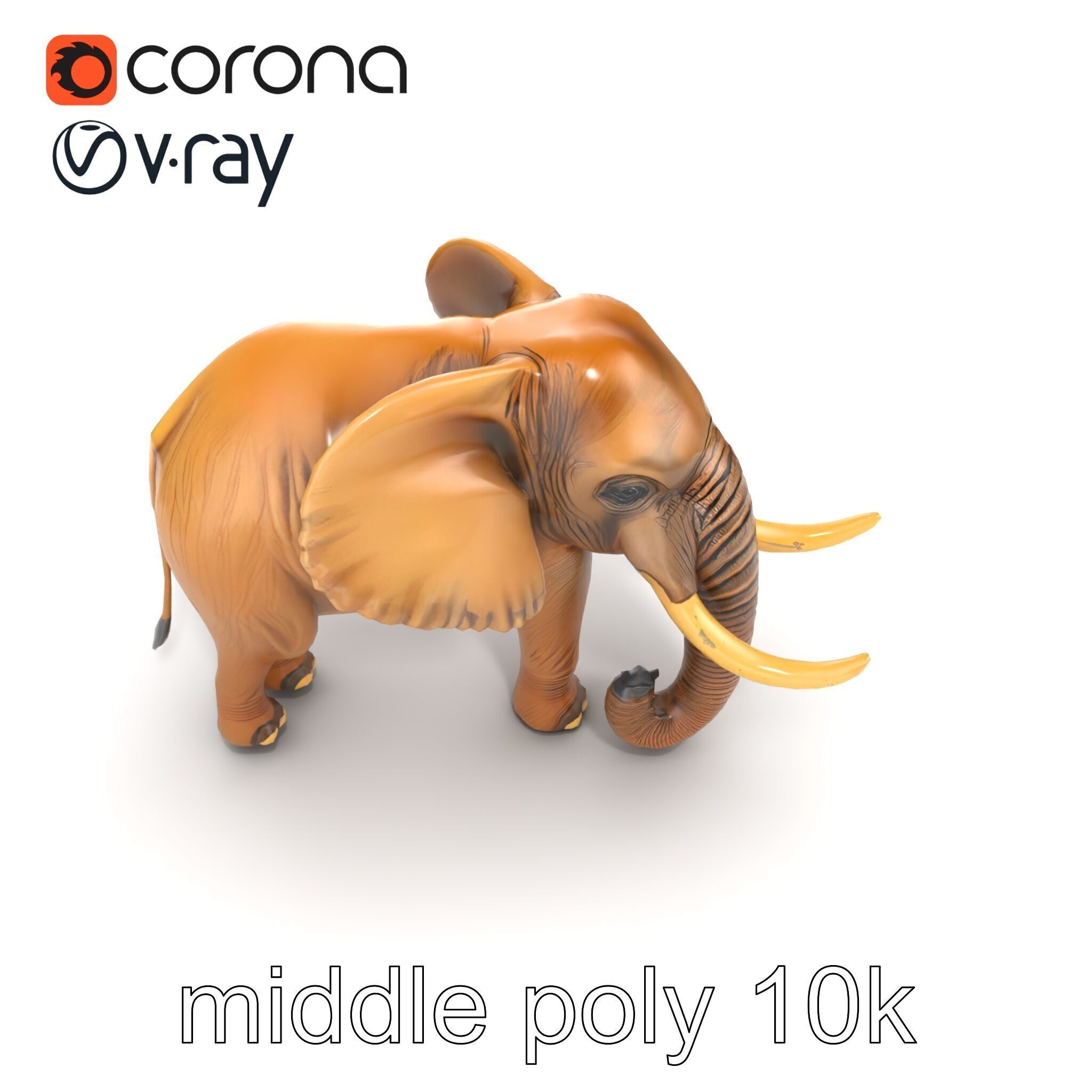 Elephant with Detailed Wrinkled Skin and Tusks model pack Low-poly 3D model_32