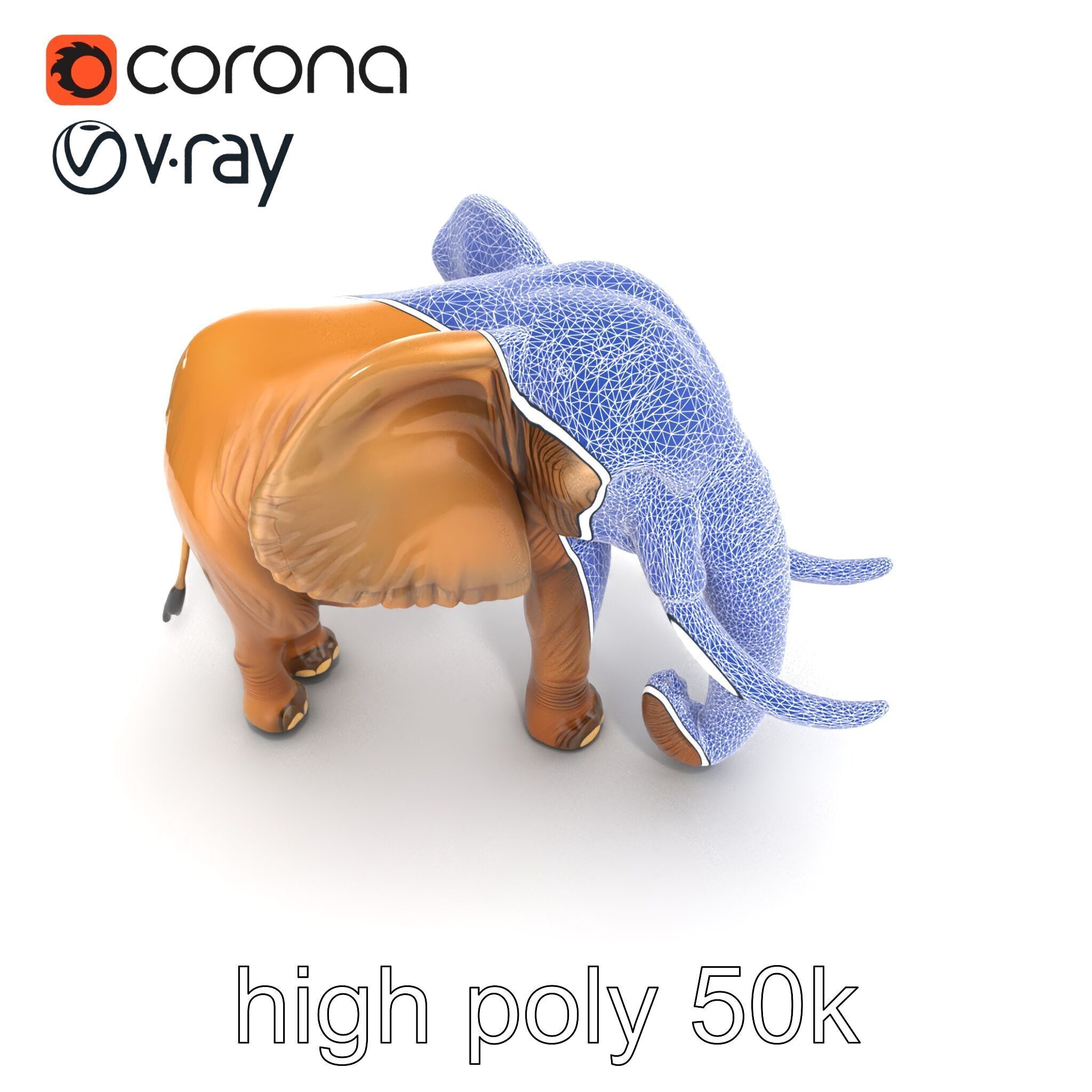 Elephant with Detailed Wrinkled Skin and Tusks model pack Low-poly 3D model_23