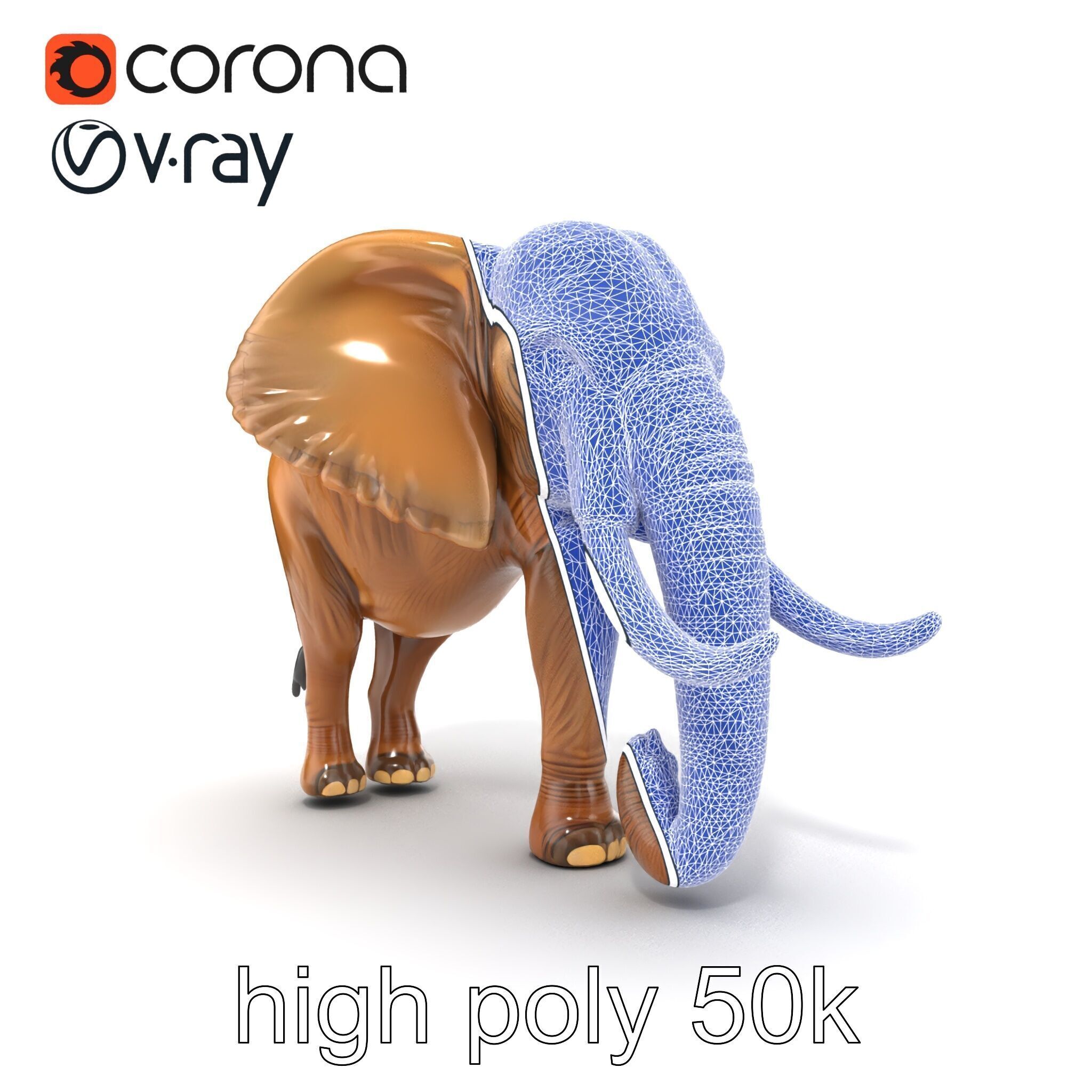 Elephant with Detailed Wrinkled Skin and Tusks model pack Low-poly 3D model_27