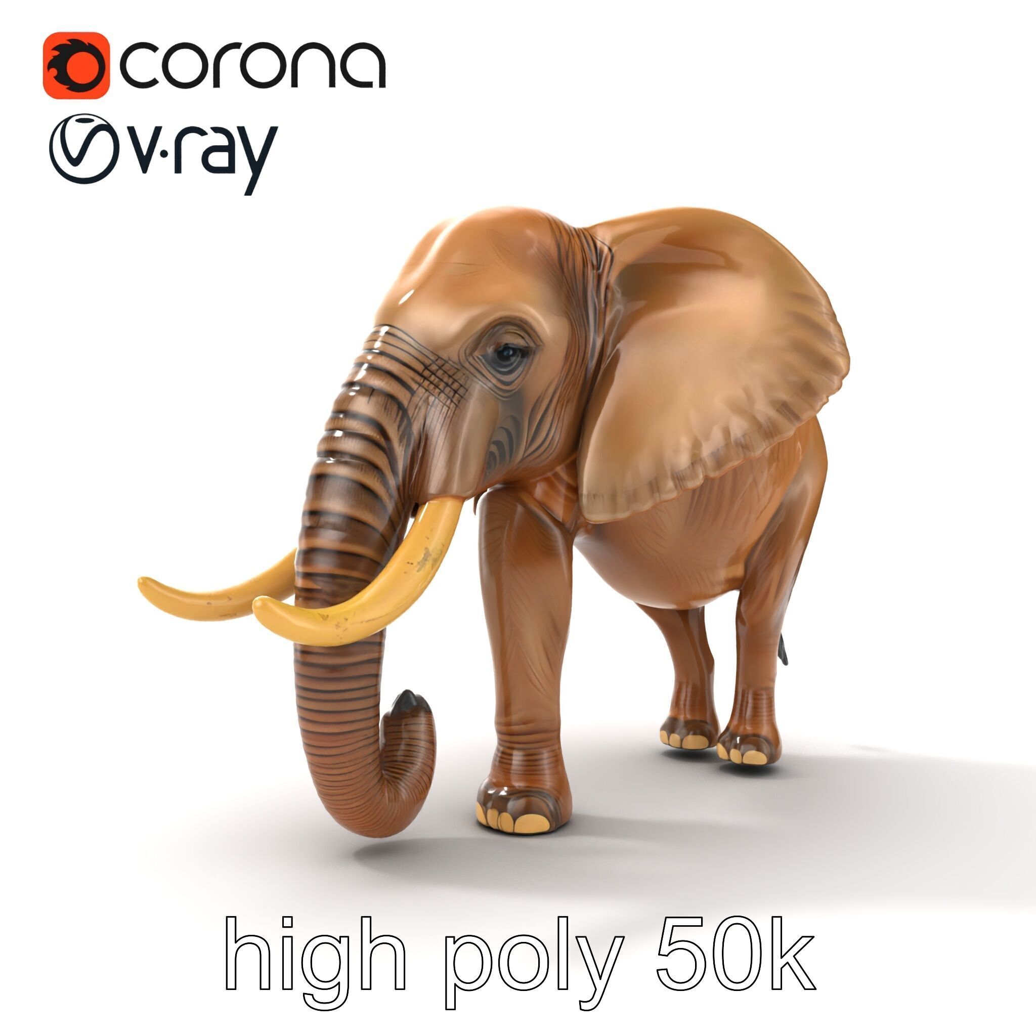 Elephant with Detailed Wrinkled Skin and Tusks model pack Low-poly 3D model_16