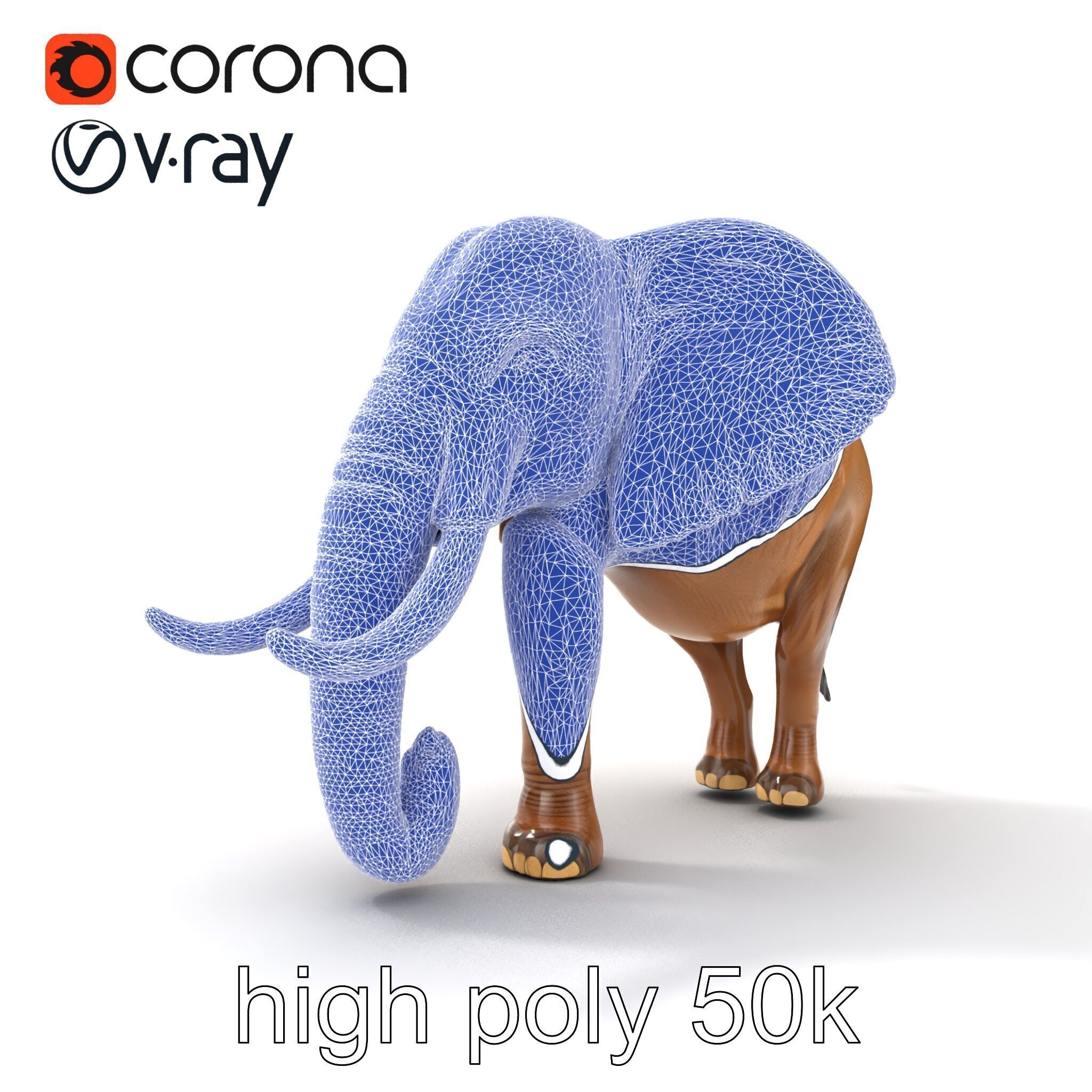 Elephant with Detailed Wrinkled Skin and Tusks model pack Low-poly 3D model_31