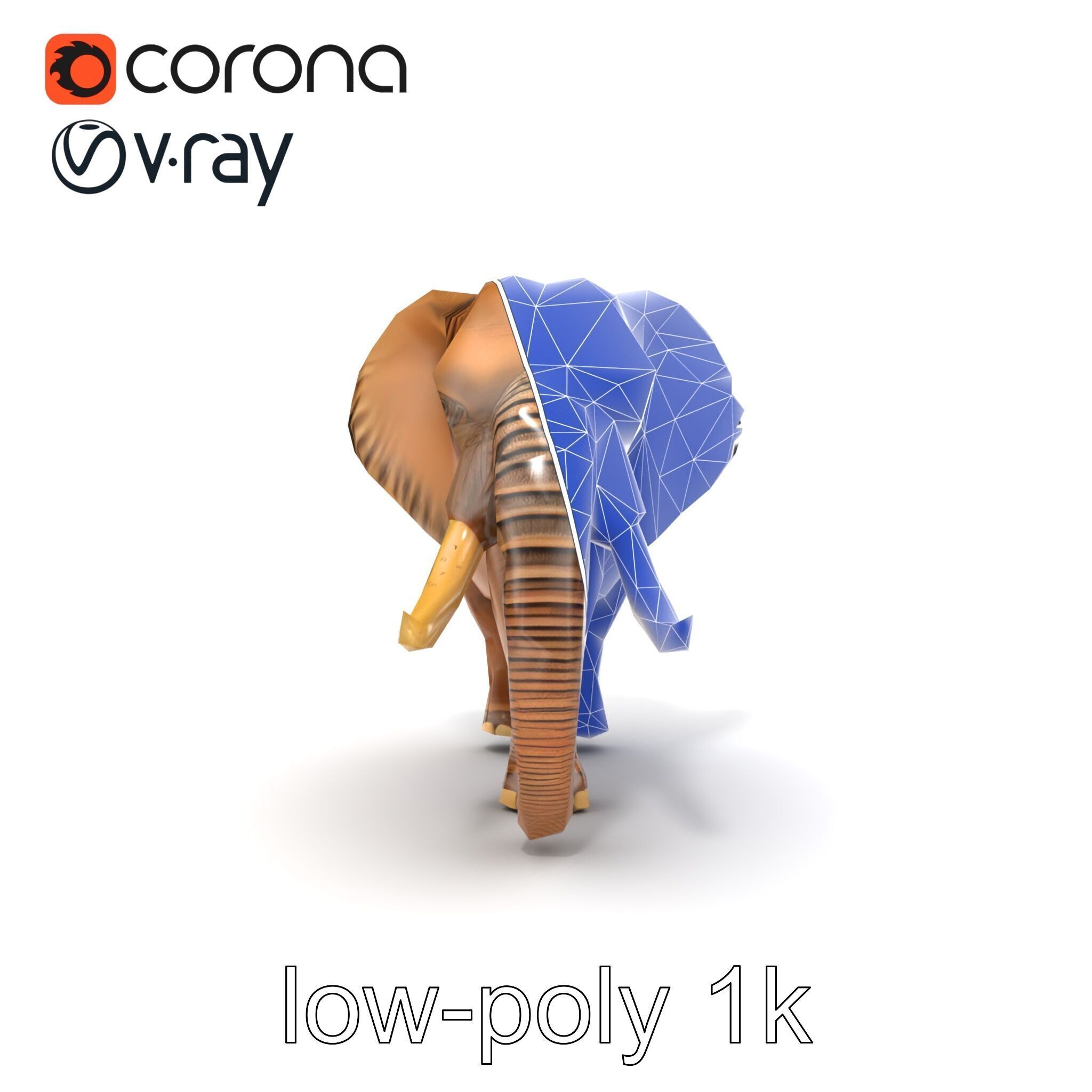 Elephant with Detailed Wrinkled Skin and Tusks model pack Low-poly 3D model_20