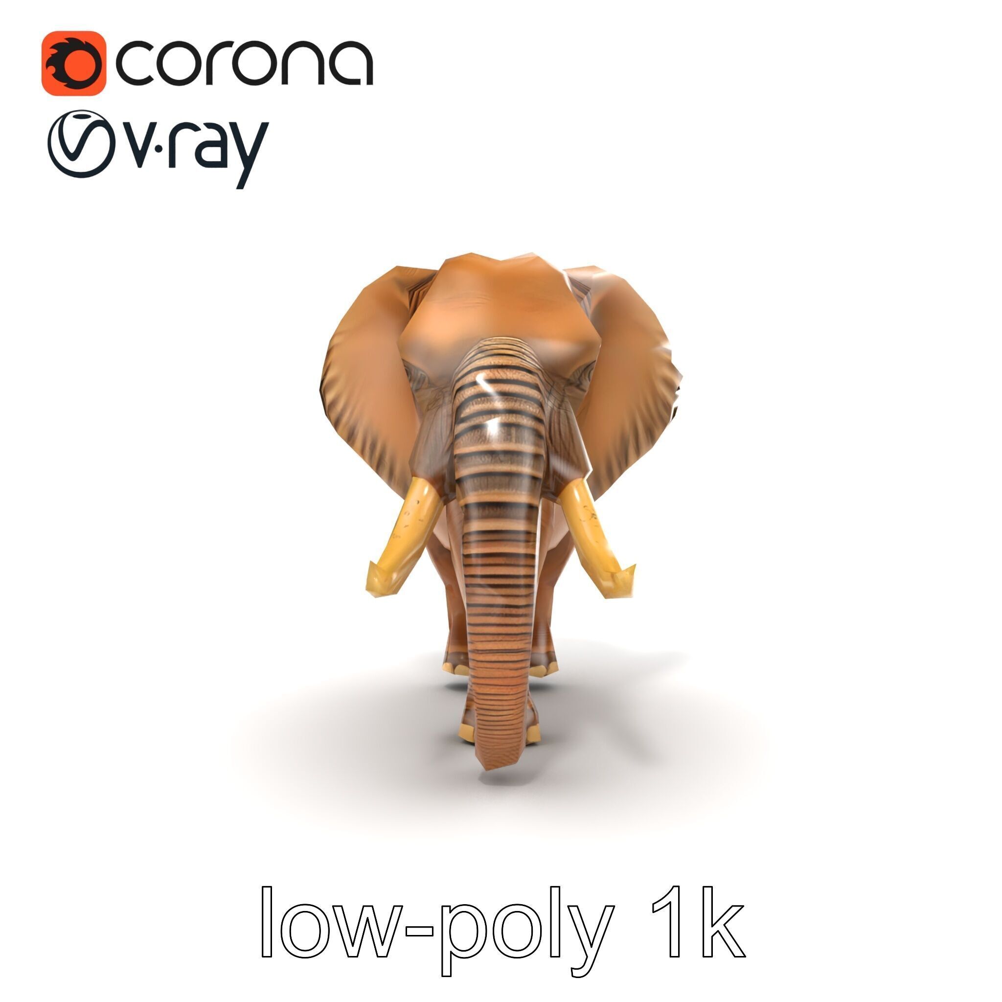 Elephant with Detailed Wrinkled Skin and Tusks model pack Low-poly 3D model_28