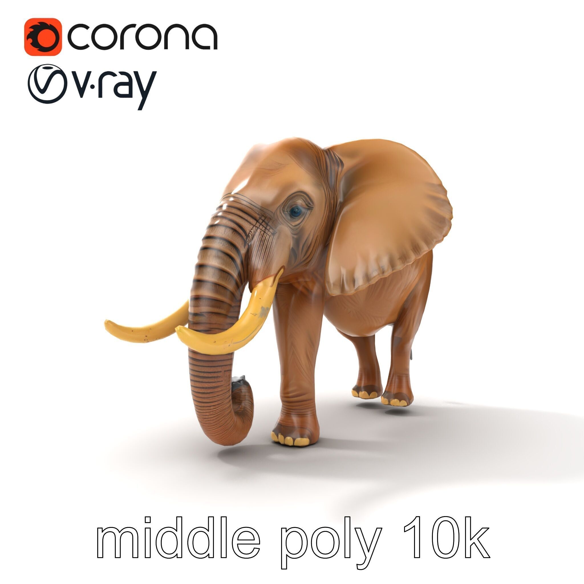 Elephant with Detailed Wrinkled Skin and Tusks model pack Low-poly 3D model_18