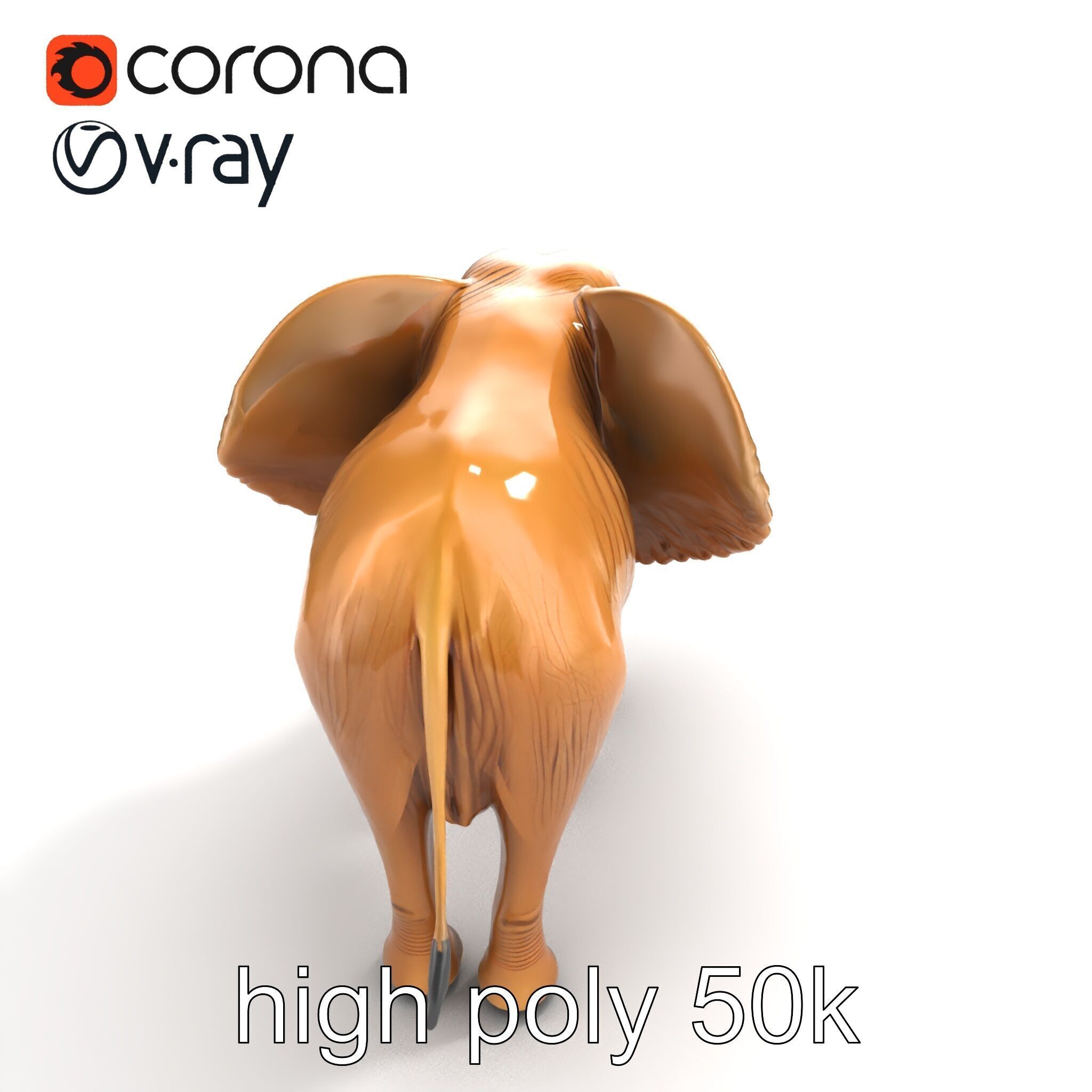 Elephant with Detailed Wrinkled Skin and Tusks model pack Low-poly 3D model_12