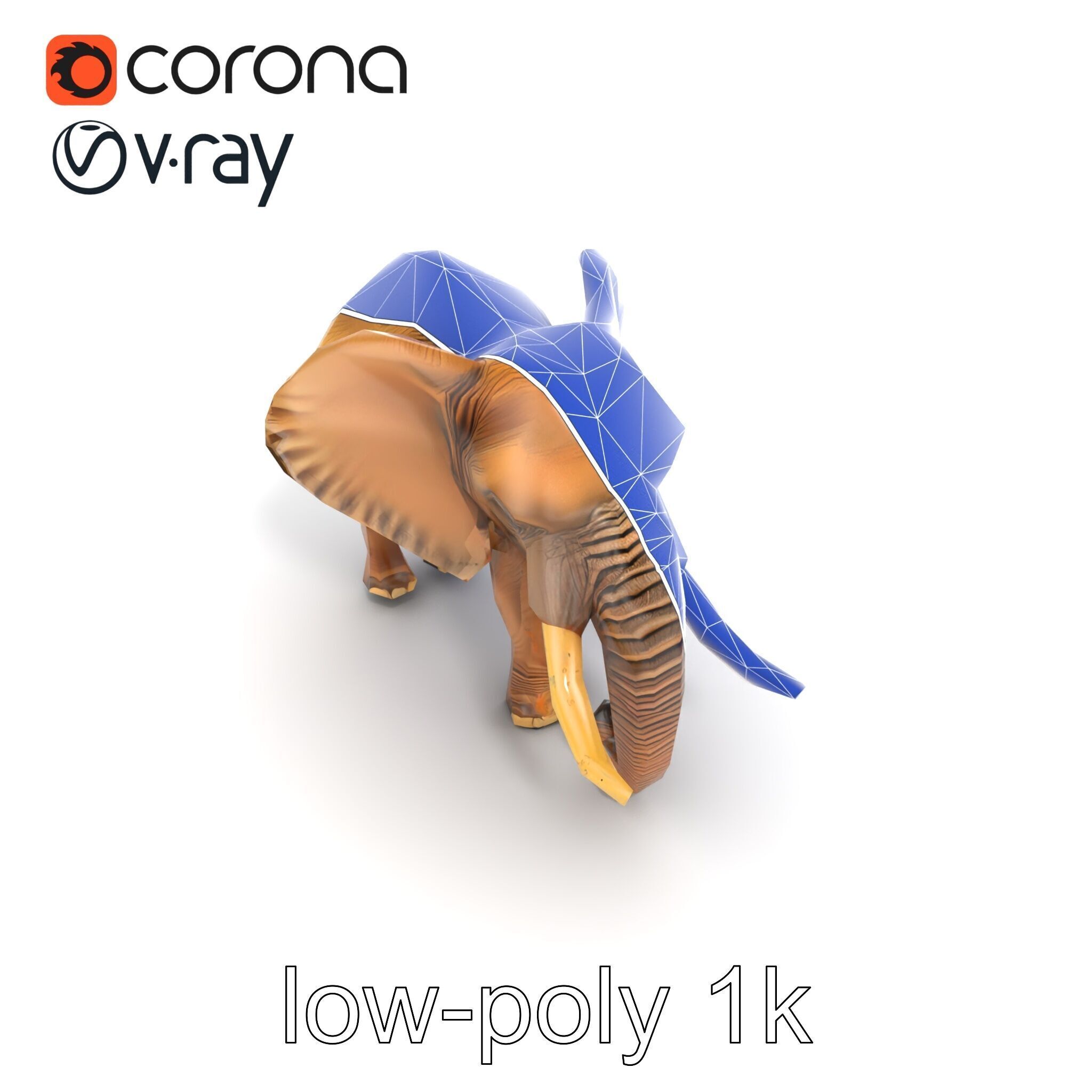 Elephant with Detailed Wrinkled Skin and Tusks model pack Low-poly 3D model_21