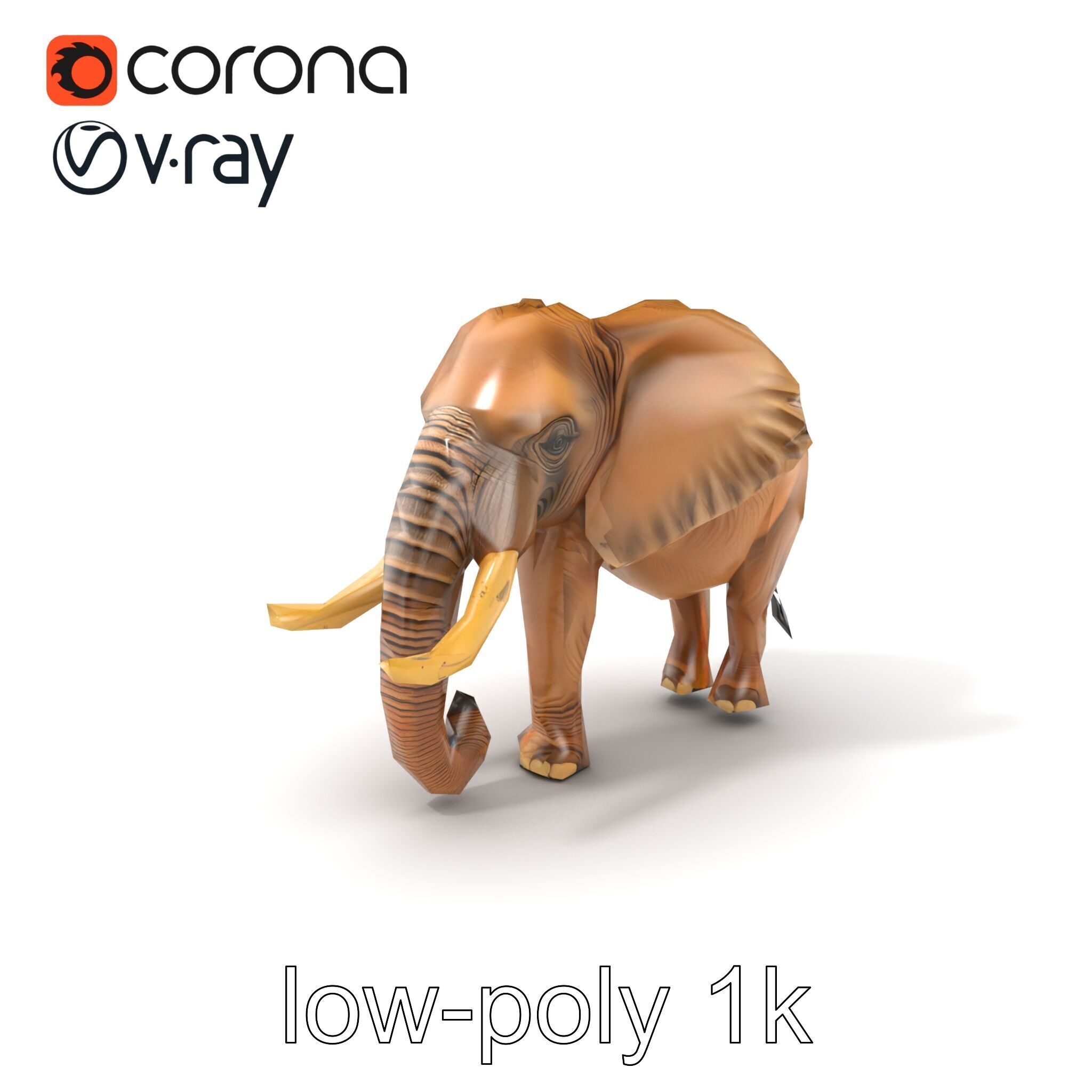 Elephant with Detailed Wrinkled Skin and Tusks model pack Low-poly 3D model_5