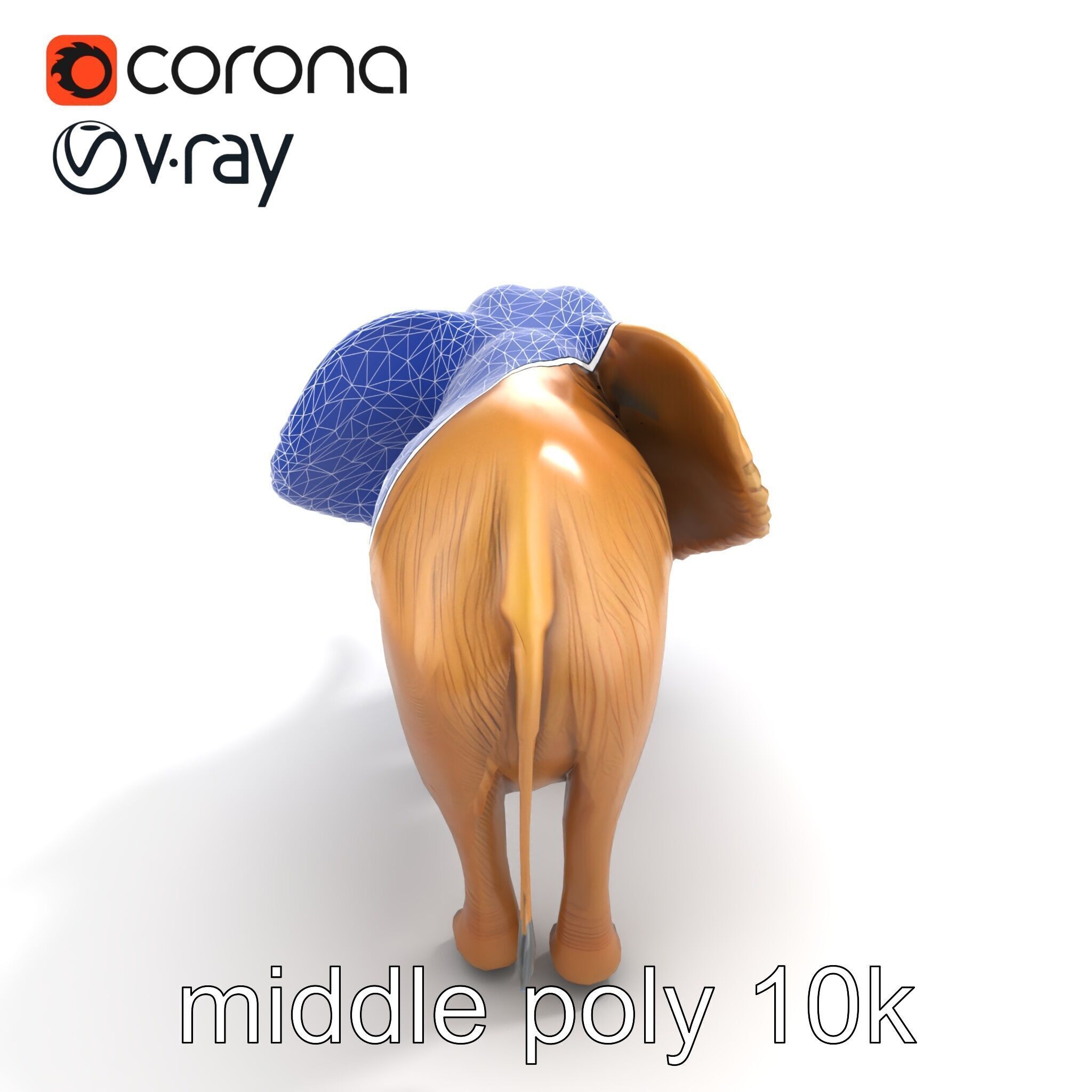 Elephant with Detailed Wrinkled Skin and Tusks model pack Low-poly 3D model_11