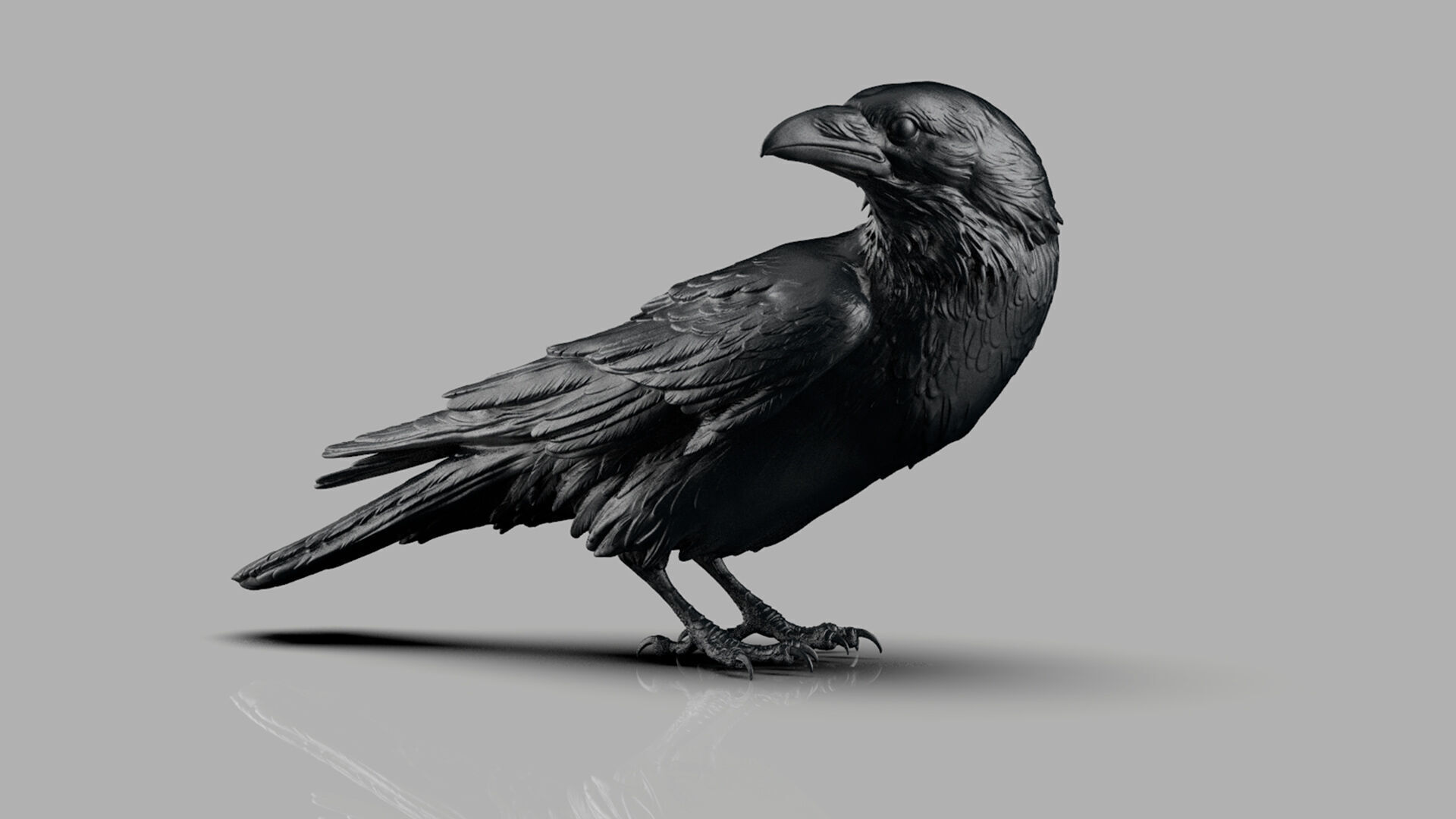 Crow looking back 3D print model_5