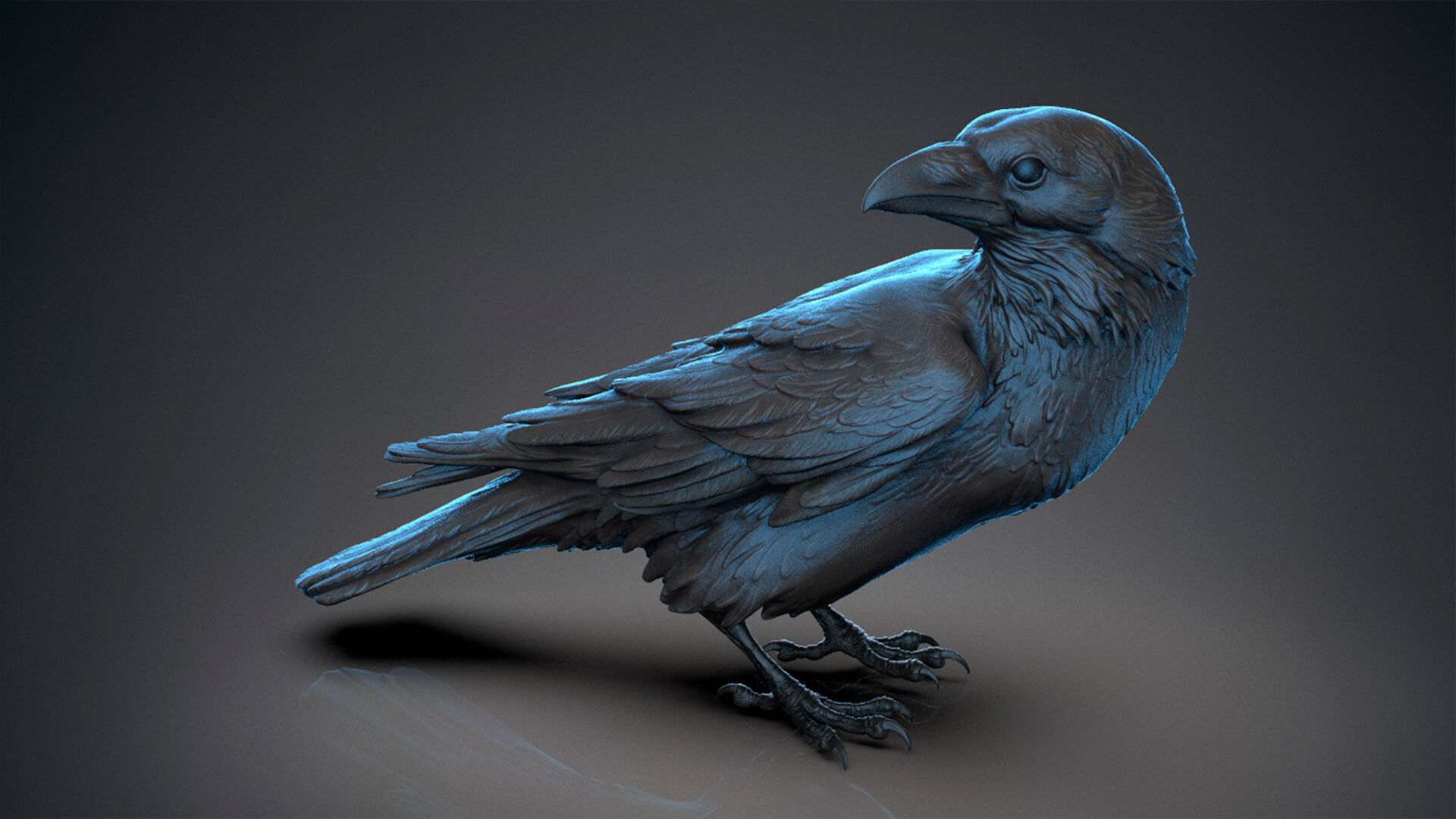 Crow looking back 3D print model_6