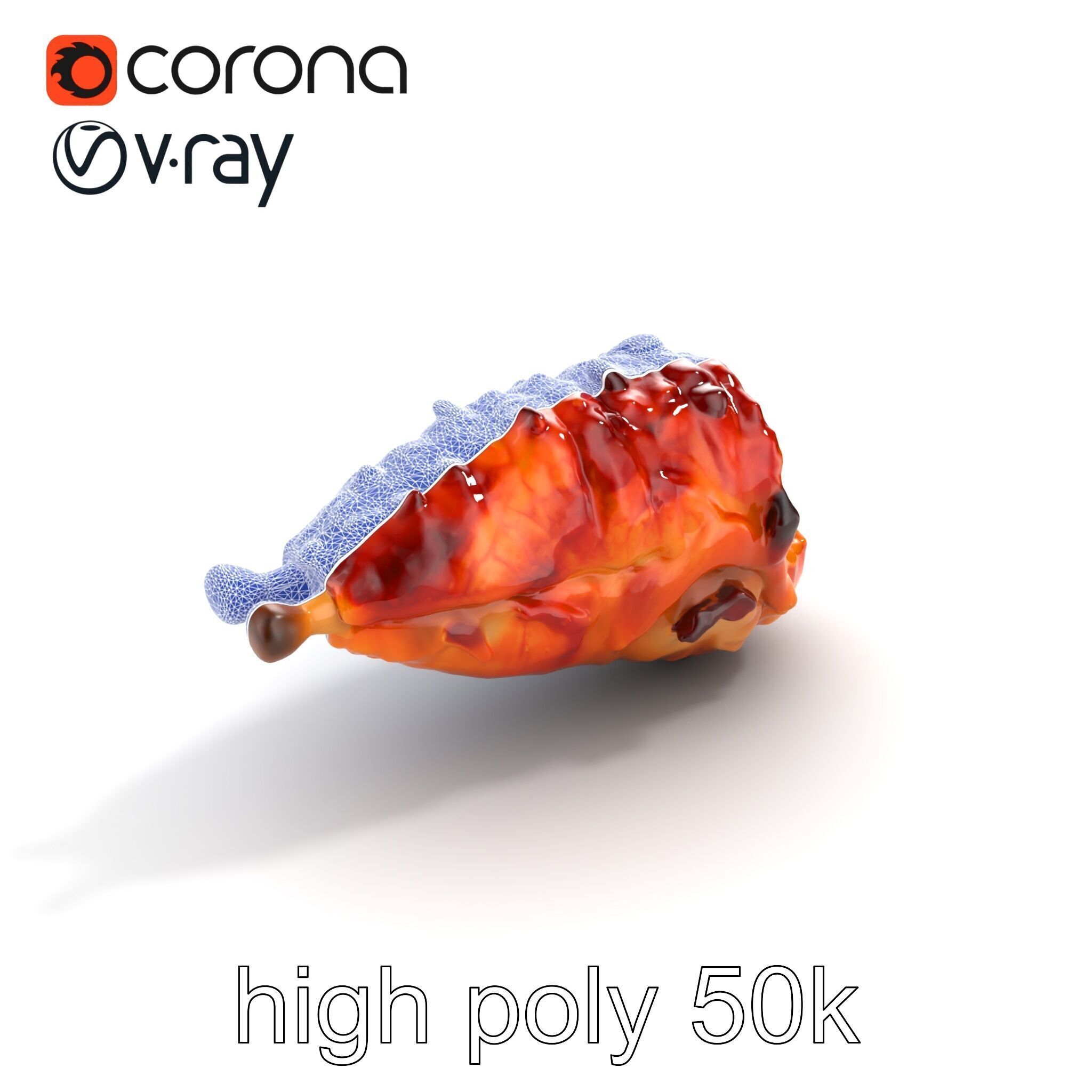 Roasted Schweinshaxe Crispy Texture Model Pack Low-poly 3D model_26