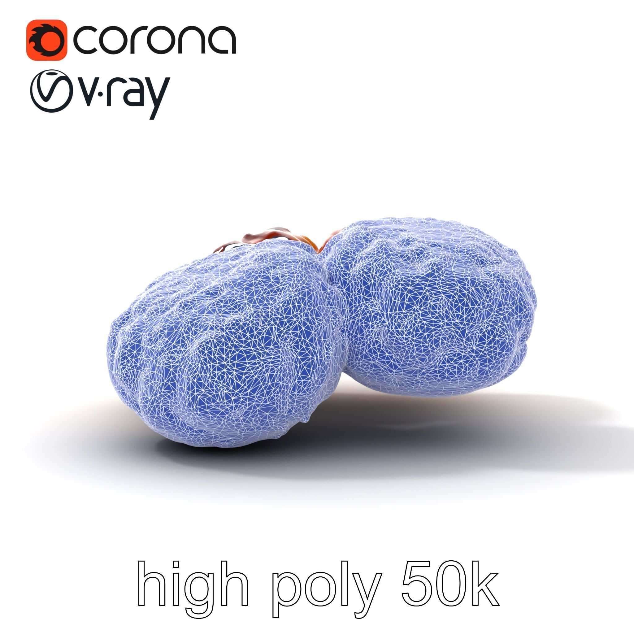 Detailed Frikadellen Meat Patties model pack Low-poly 3D model_31