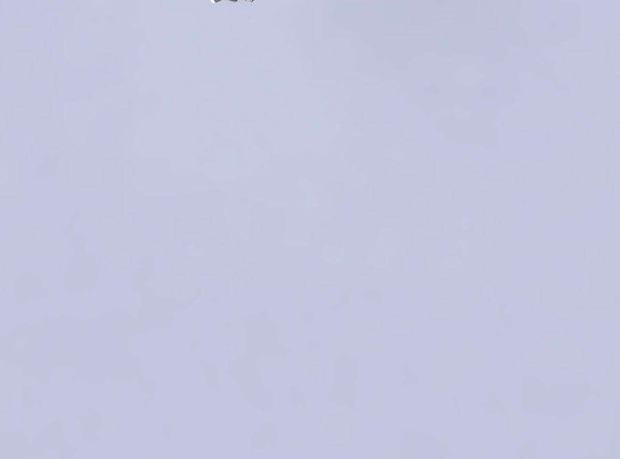 Bowl with interlacing lattice and extruded lines squeezed 3D print model_2