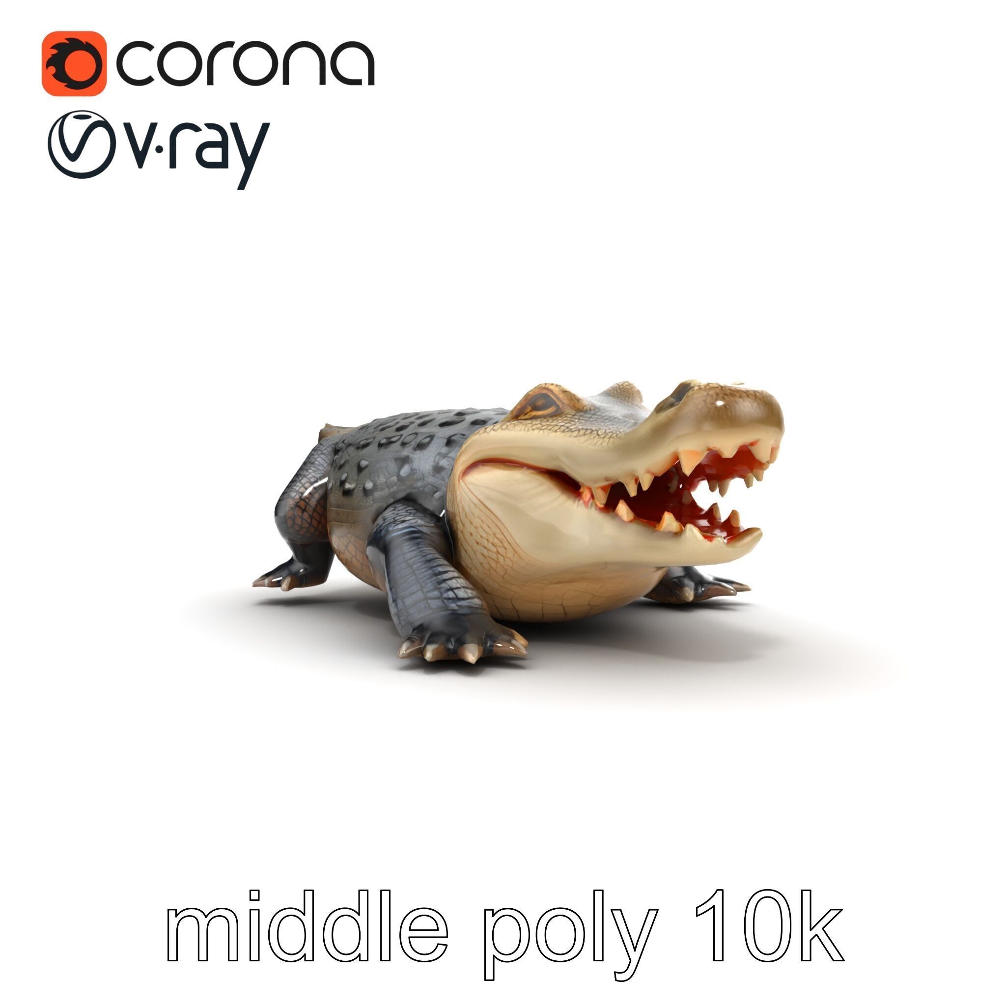 Saltwater Crocodile Realistic Model Pack Low-poly 3D model_25