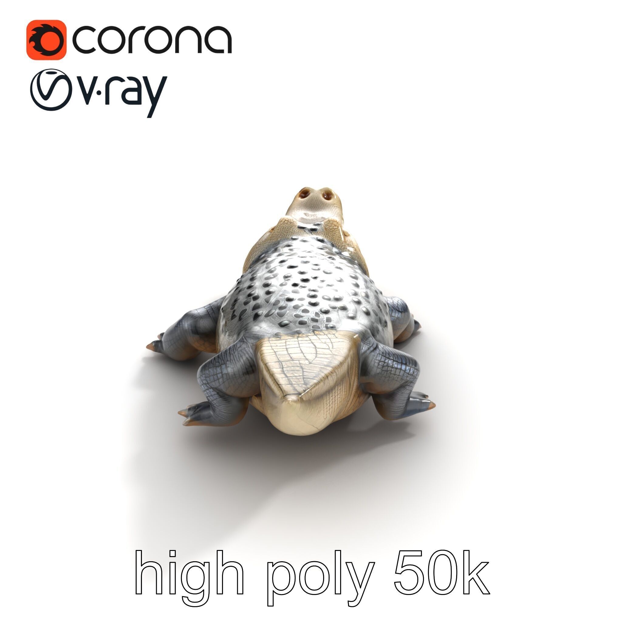 Saltwater Crocodile Realistic Model Pack Low-poly 3D model_30