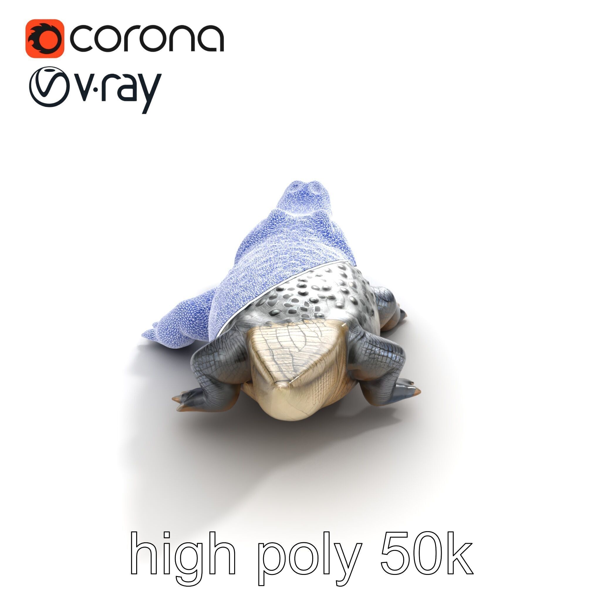 Saltwater Crocodile Realistic Model Pack Low-poly 3D model_23